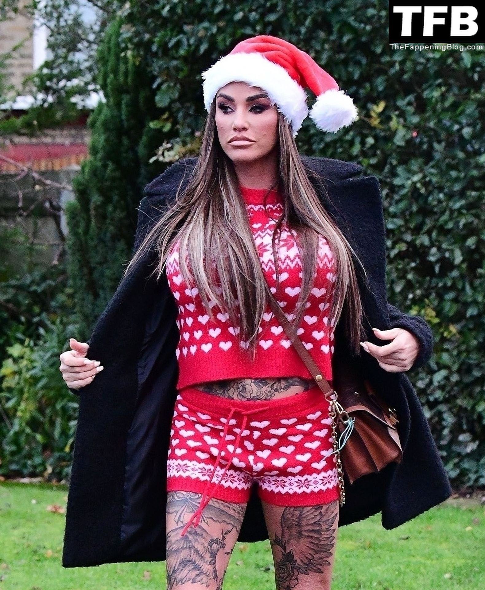 Katie Price Gets Into the Festive Spirit Dressed in Her Sexy Christmas Outfit (34 Photos)