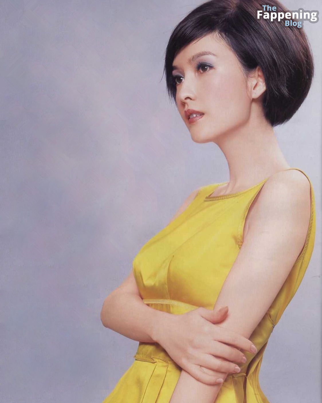 Vivian Chow Sexy (6 Photos)