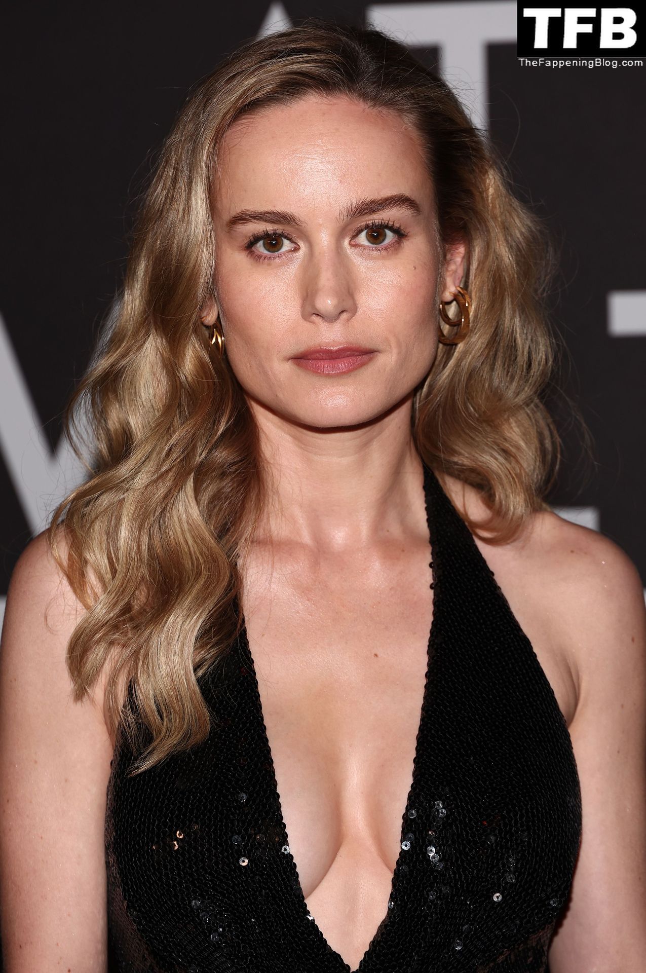 Brie-Larson-Sexy-The-Fappening-Blog-9.jpg
