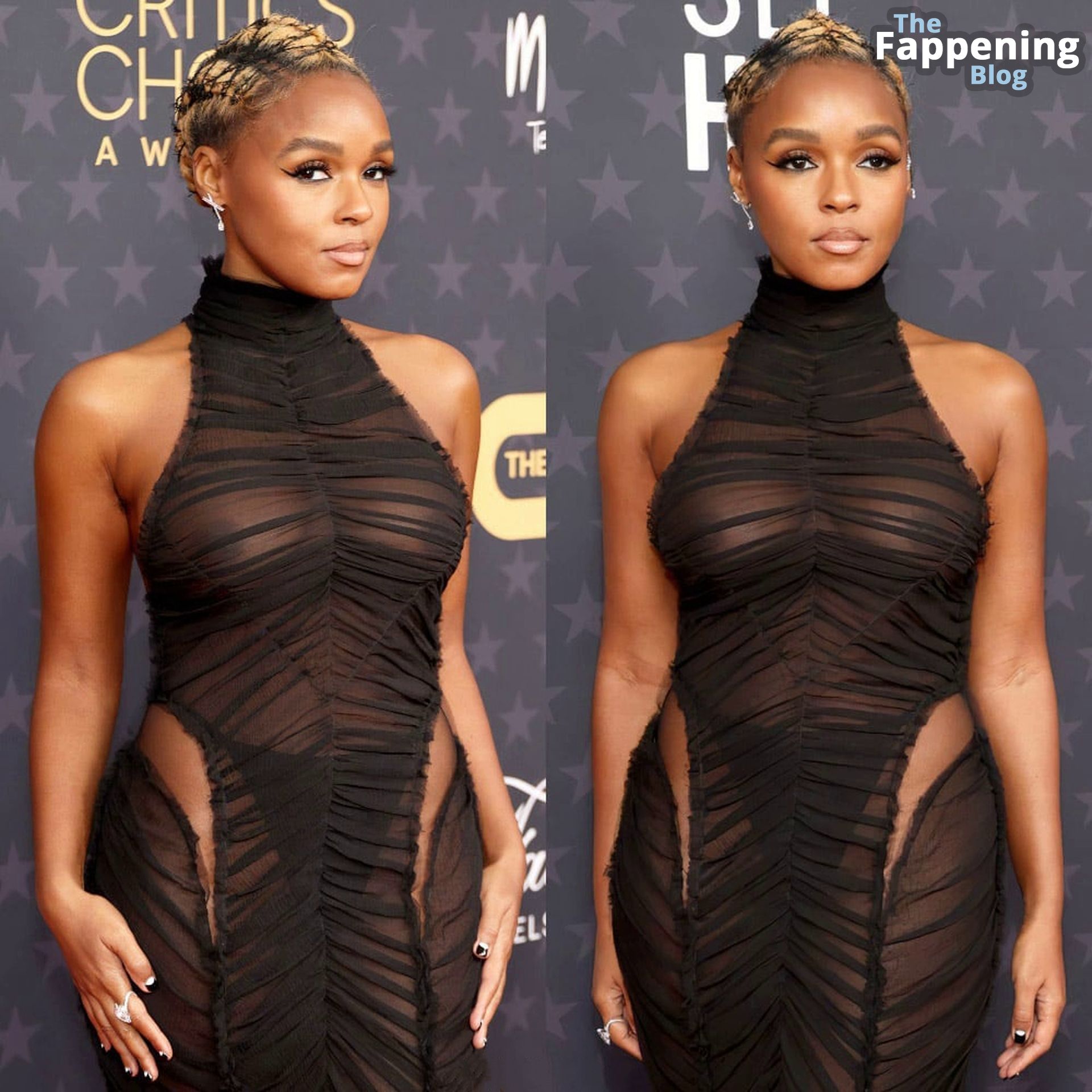 Janelle Monae Flashes Her Nude Boobs at the 28th Annual Critics Choice Awards in LA (108 Photos)