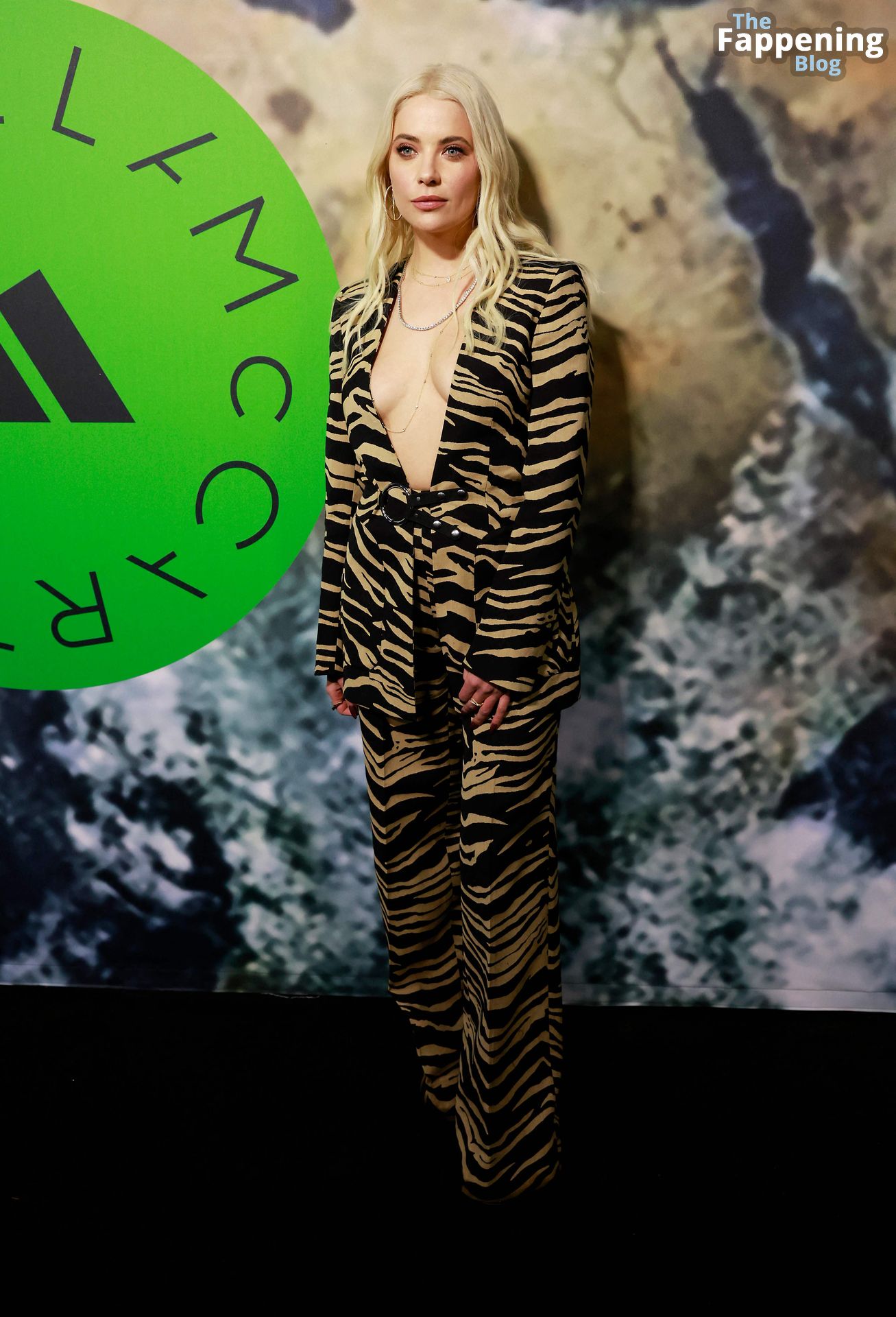 Ashley Benson Displays Nice Cleavage at the Stella McCartney X Adidas Party (14 Photos)