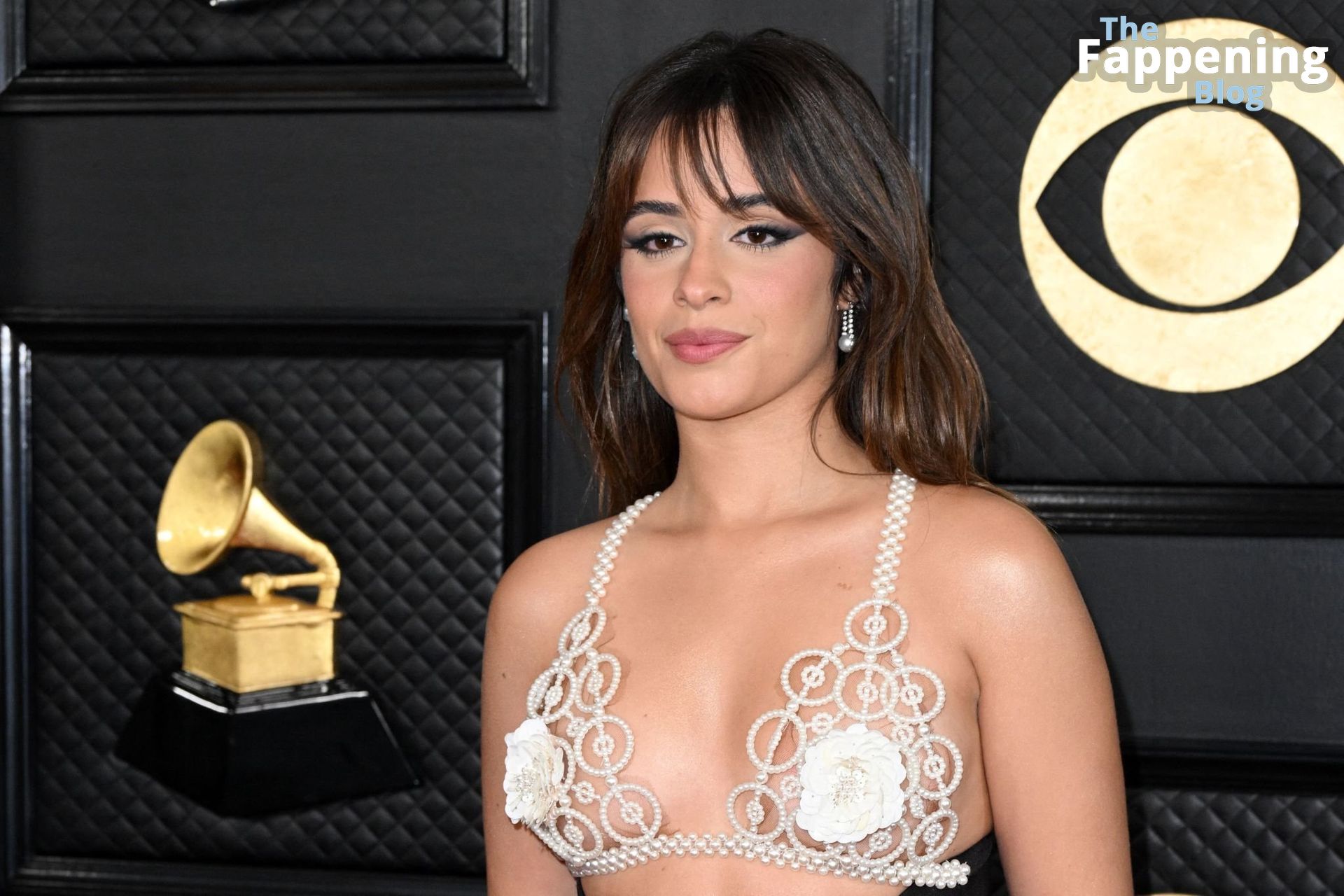 Camila Cabello Showcases Her Sexy Breasts at the 65th Annual GRAMMY Awards (70 Photos)