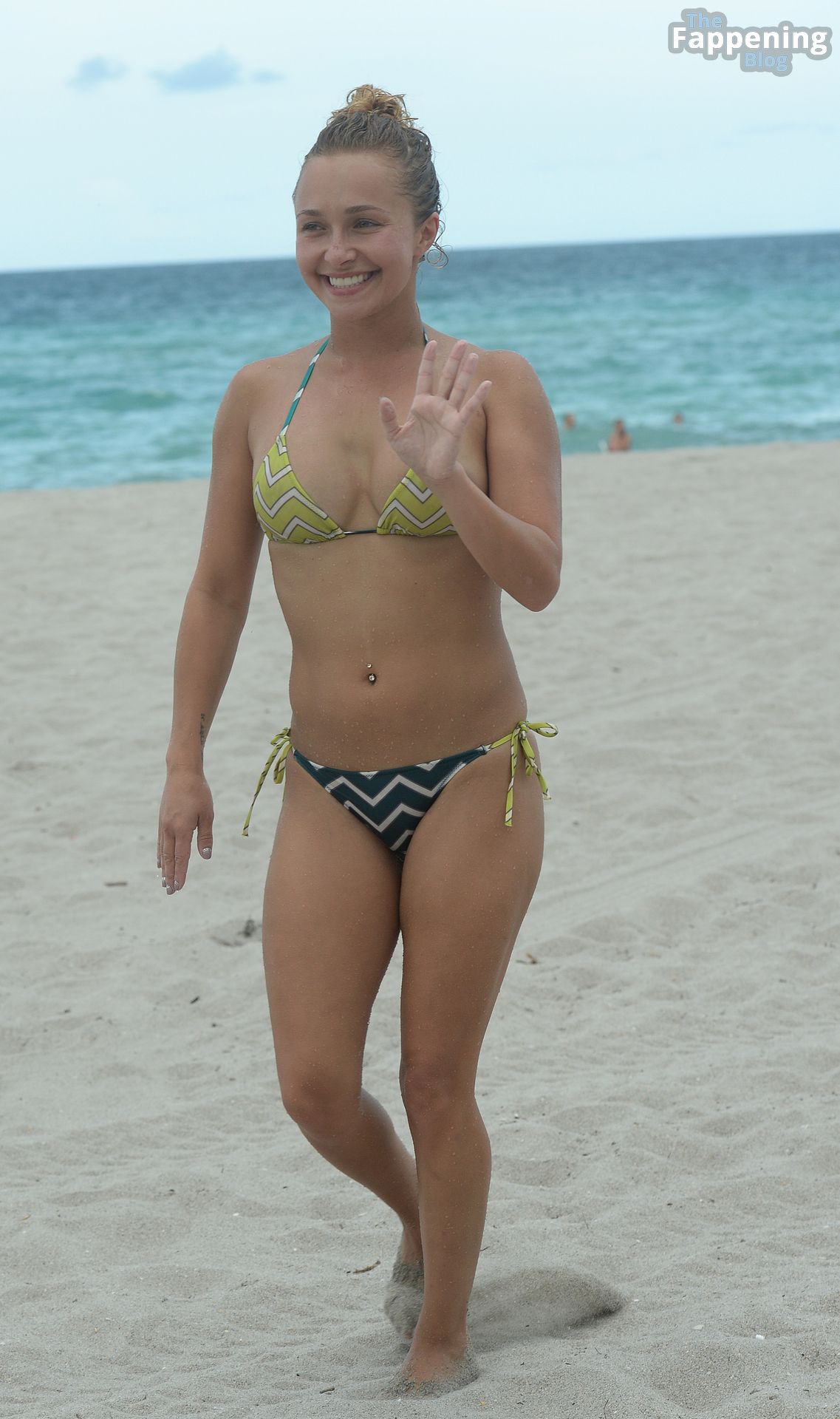 Hayden Panettiere Displays Her Sexy Bikini Body on the Beach (97 Photos)