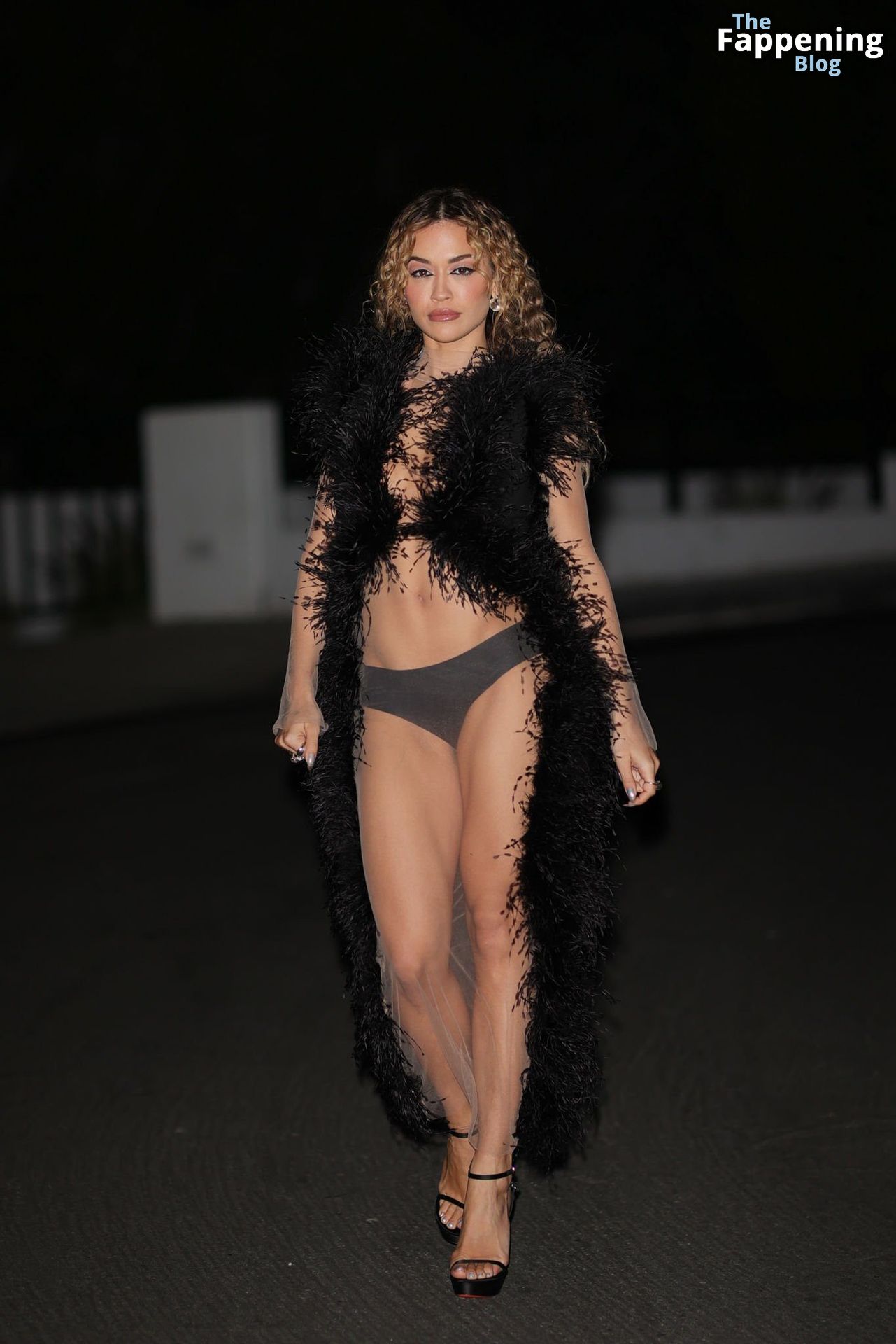 Rita Ora Attends the 10 Years of Music with Costa Brazil Party in LA (18 Photos)