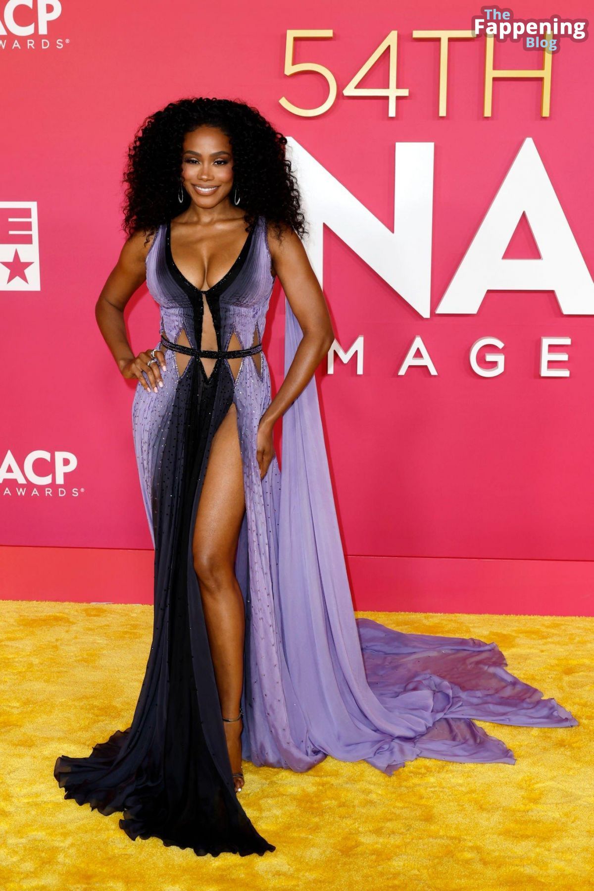 Shannon Thornton Displays Nice Cleavage at the 54th Annual NAACP Image Awards (18 Photos)