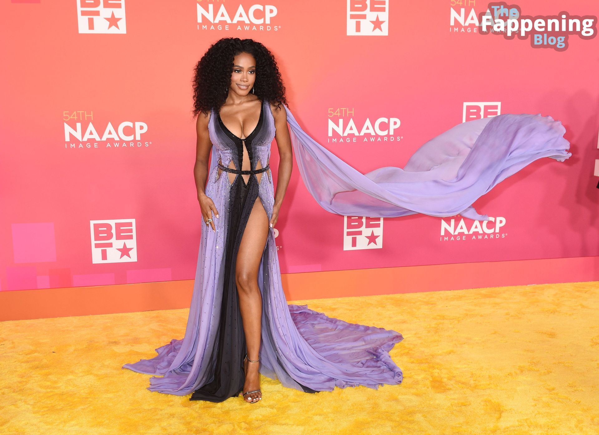 Shannon Thornton Displays Nice Cleavage at the 54th Annual NAACP Image Awards (18 Photos)