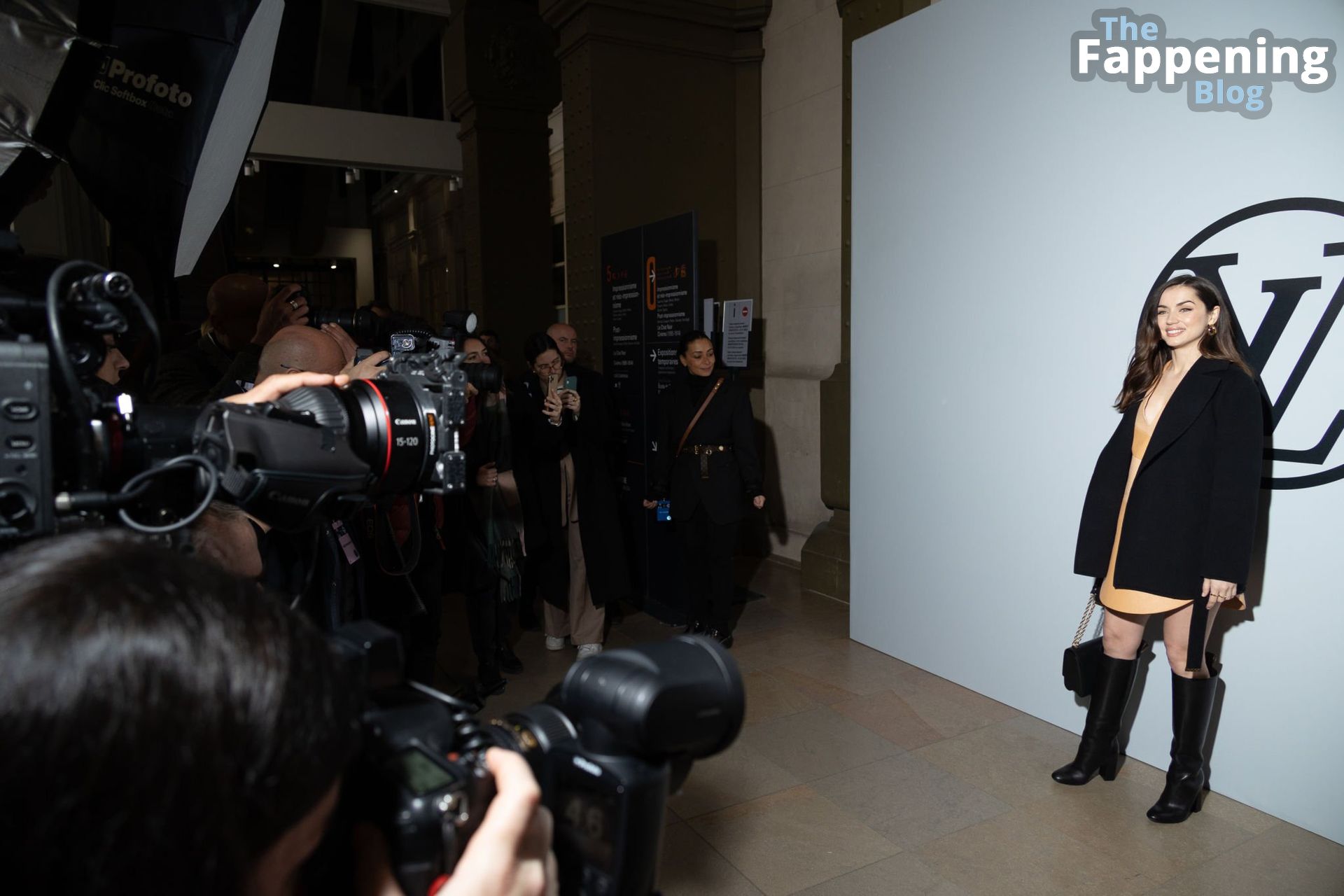 Ana de Armas Flashes Her Underwear at the Louis Vuitton Fashion Show in Paris (73 Photos)