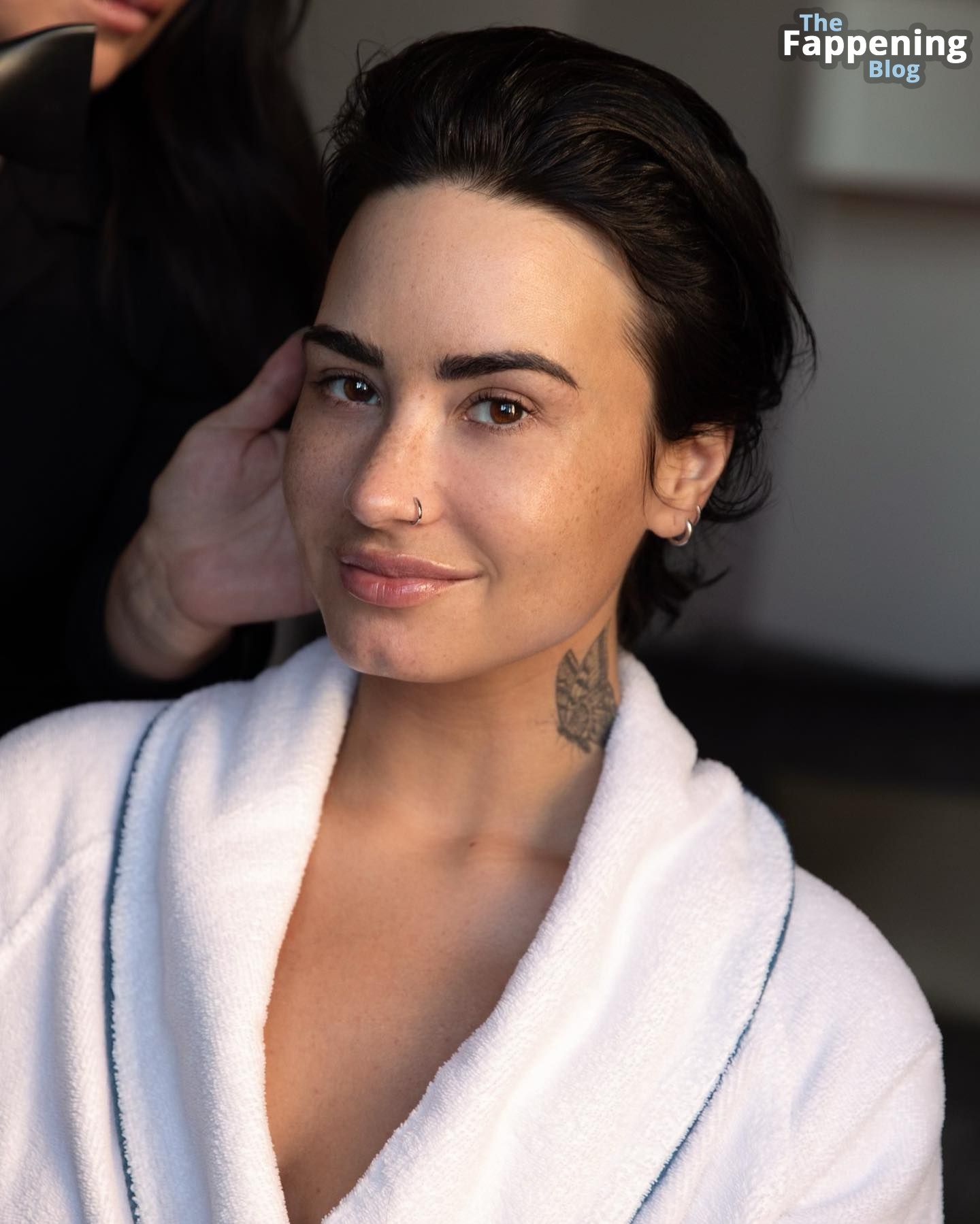 Demi Lovato Nude Sexy Collection Photos Thefappening