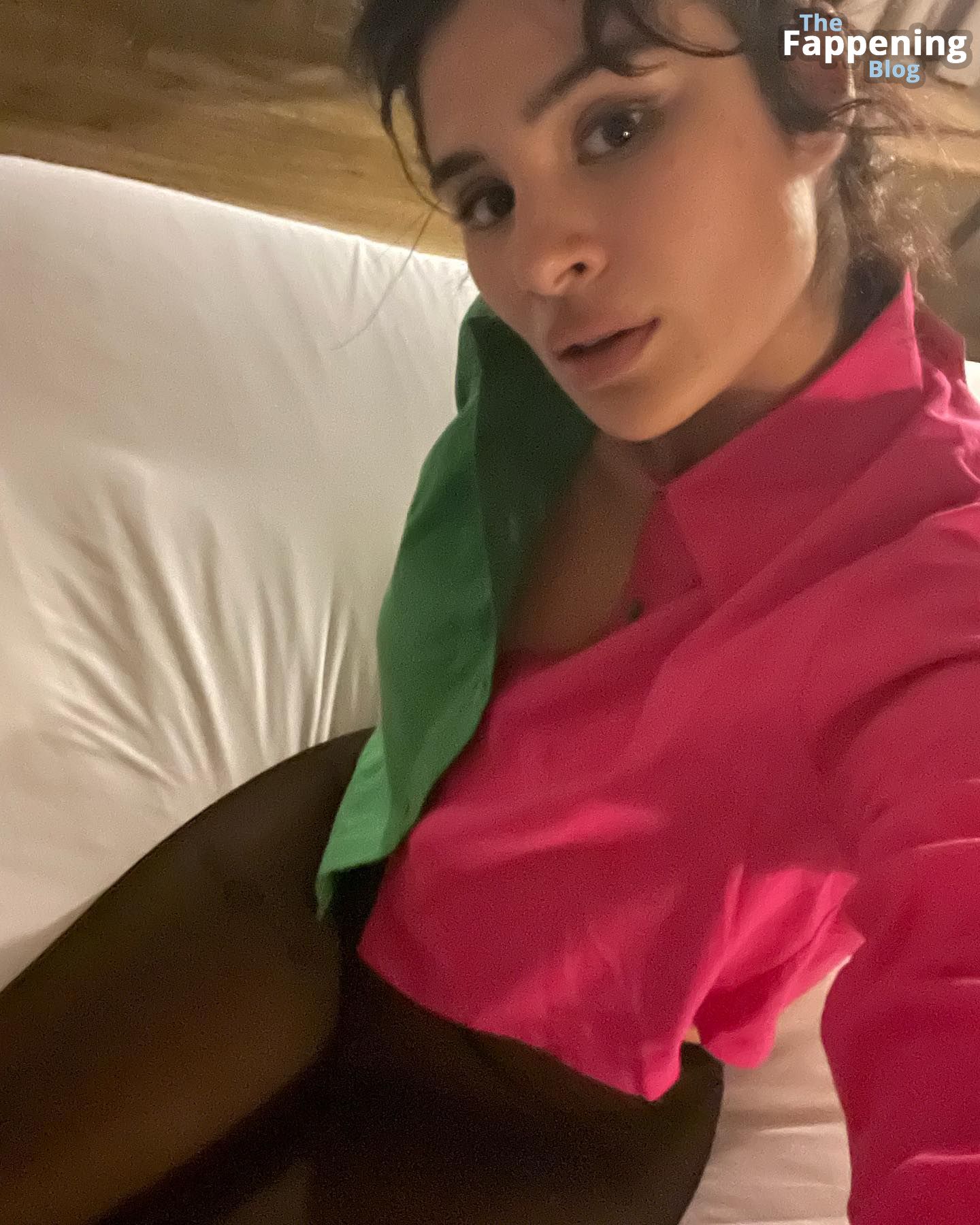 Diane Guerrero Sexy &amp; Topless (25 Photos)