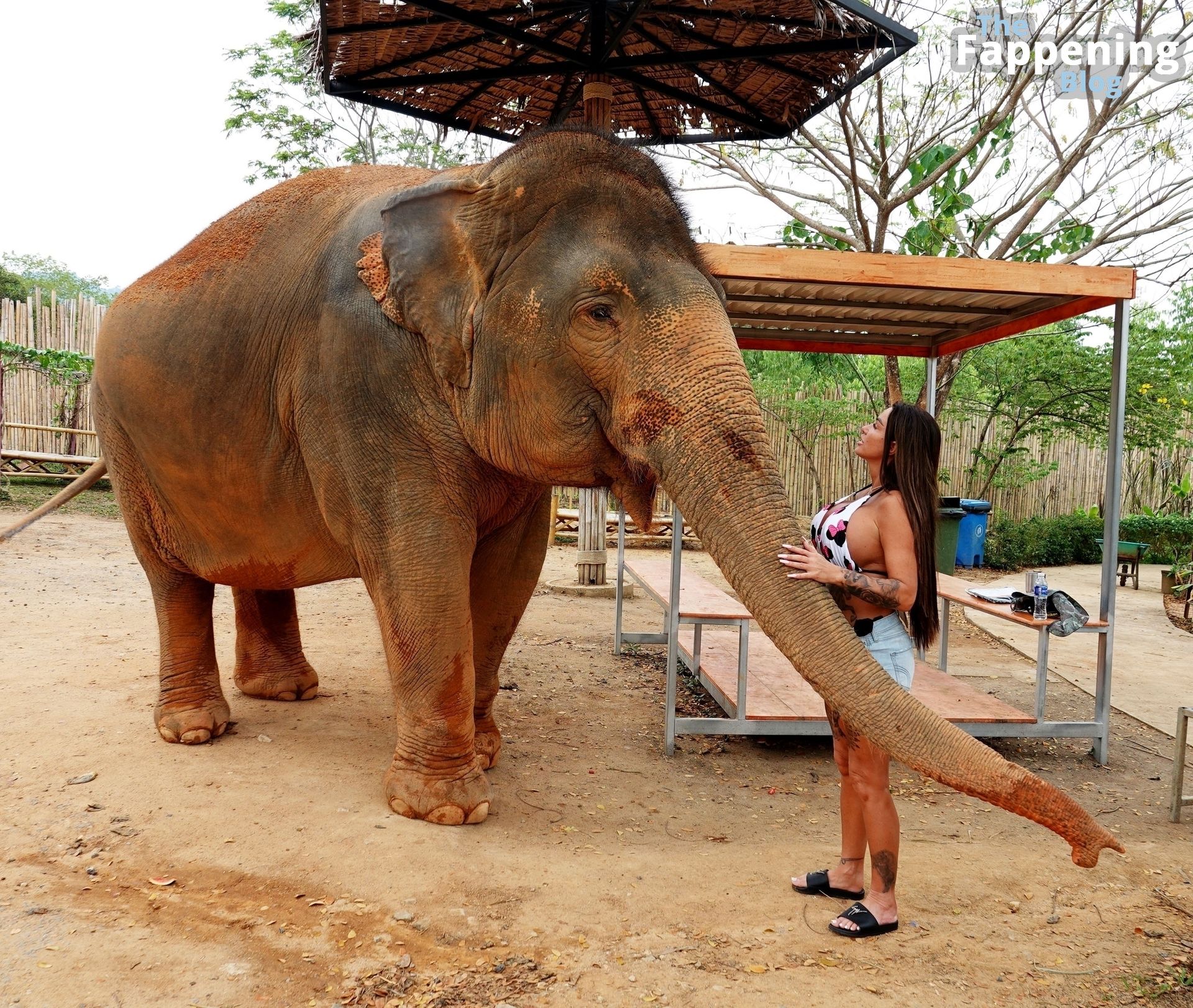Katie Price Visits an Elephant Sanctuary During Her Holiday in Thailand (54 Photos)