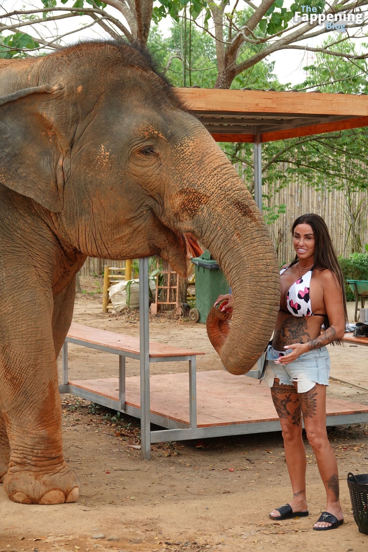 Katie Price Visits an Elephant Sanctuary During Her Holiday in Thailand (54 Photos)