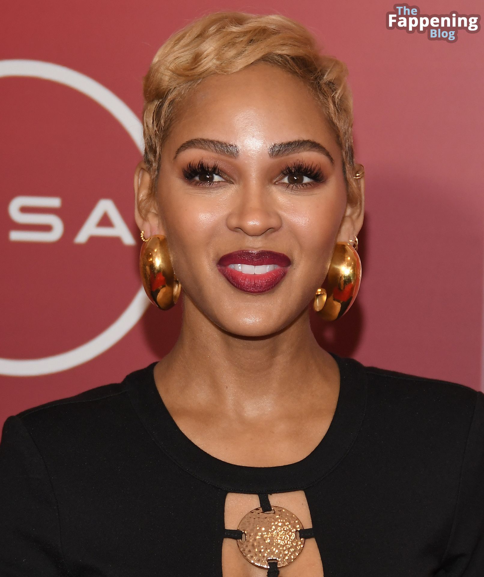 Meagan Good Displays Her Sexy Tits at the 14th Annual AAFCA Awards (50 Photos)