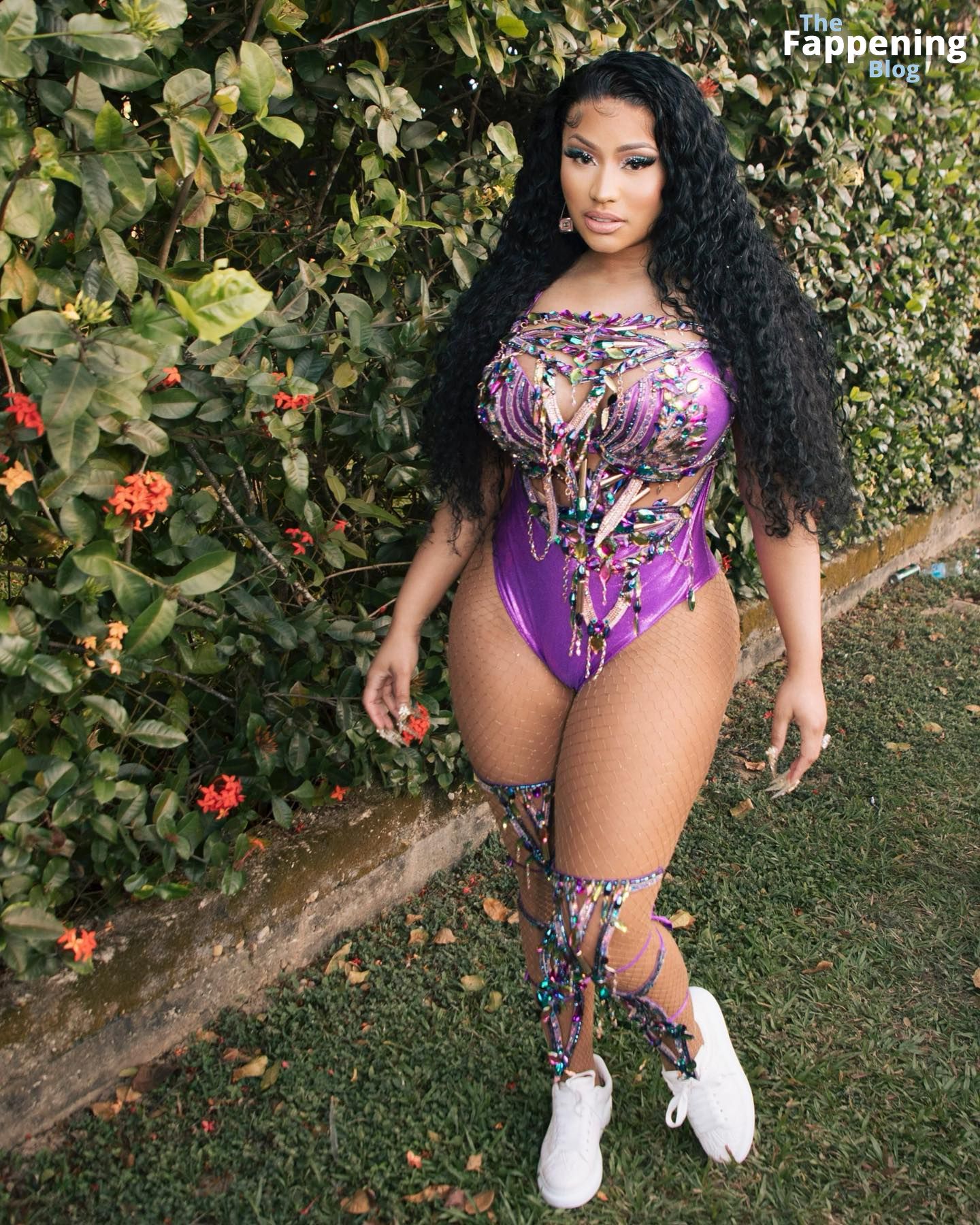Nicki Minaj Sexy (28 Photos)