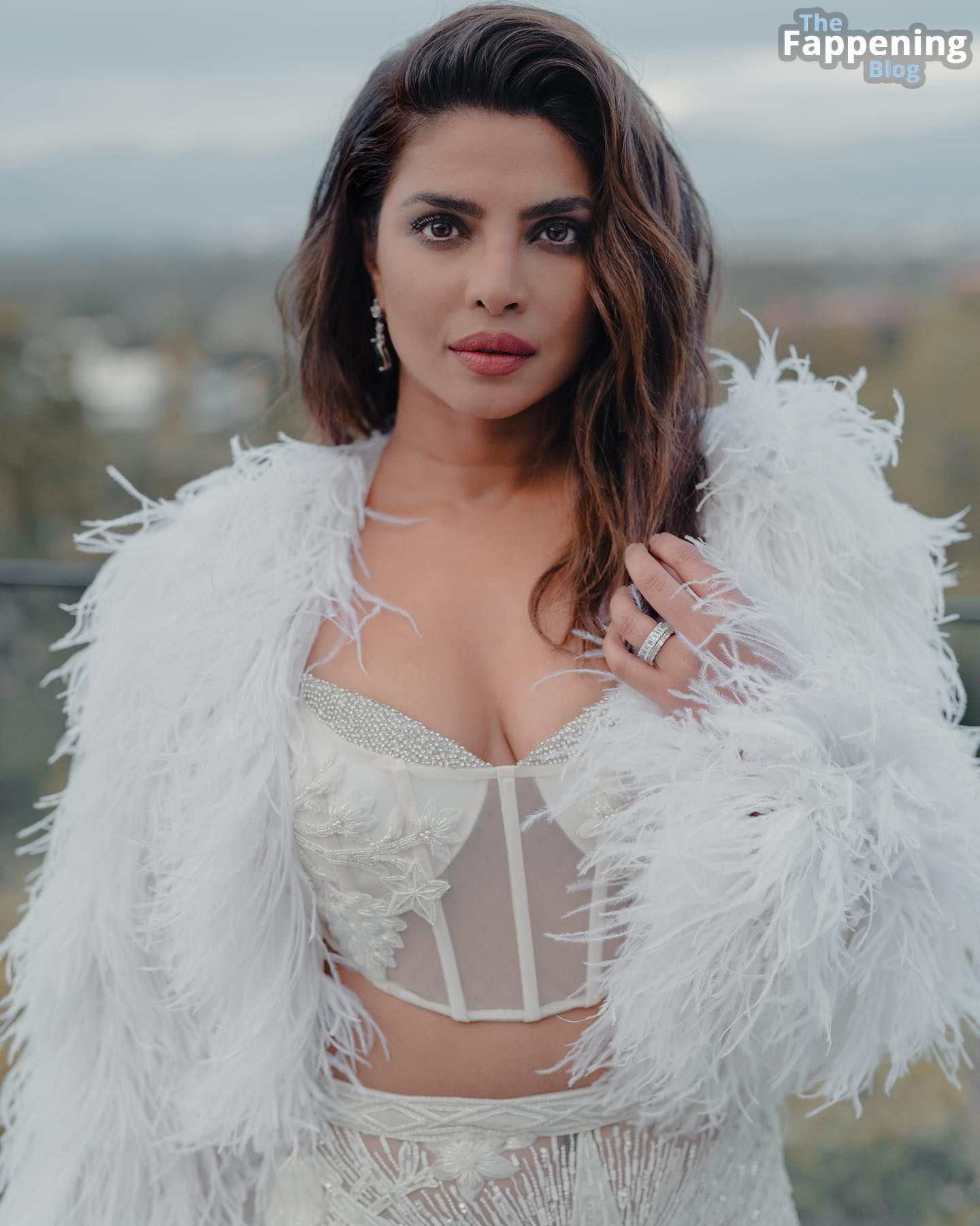 Priyanka Chopra Sexy 1