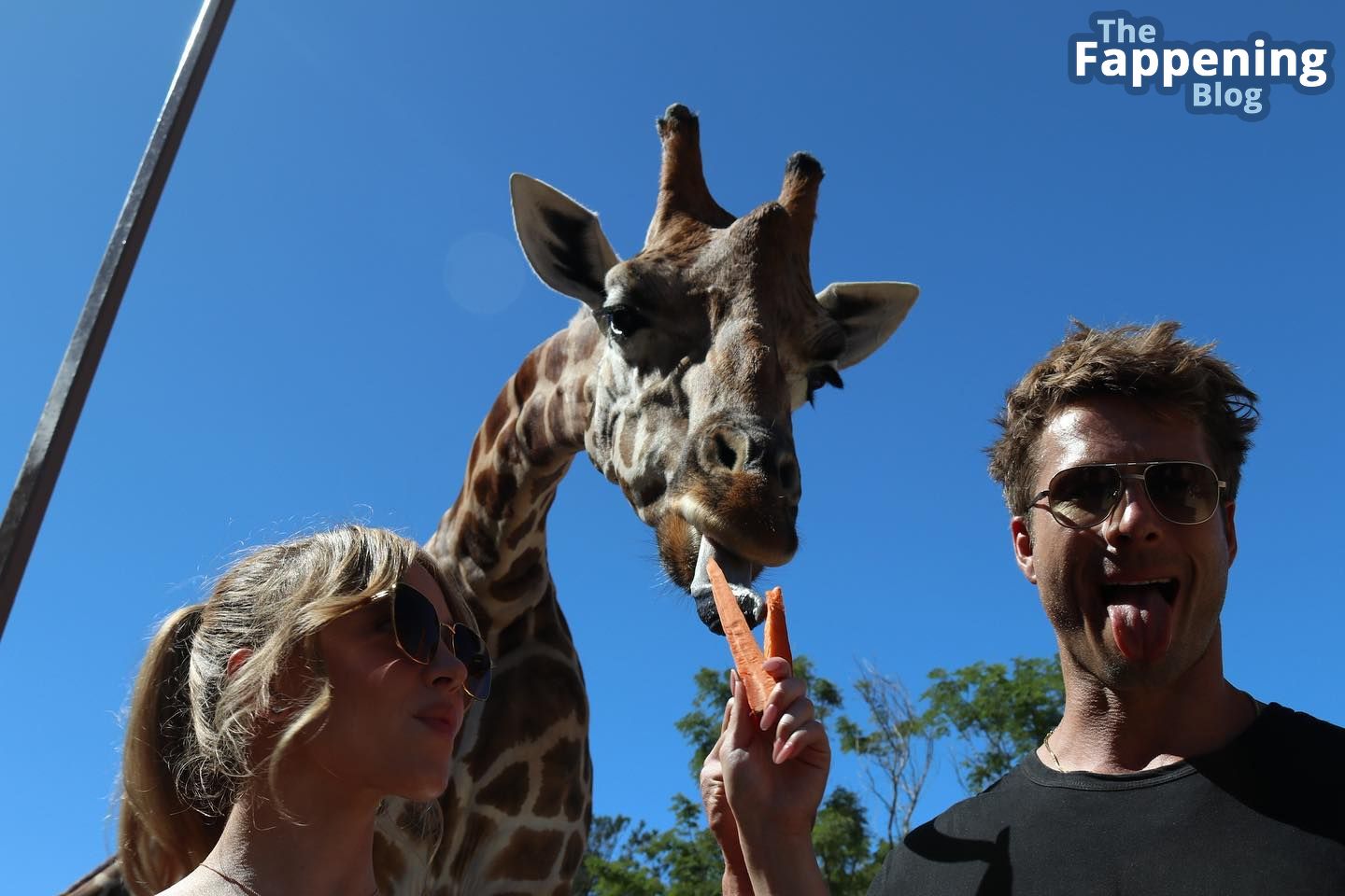 Giraffes Love Sydney Sweeney (Photos)