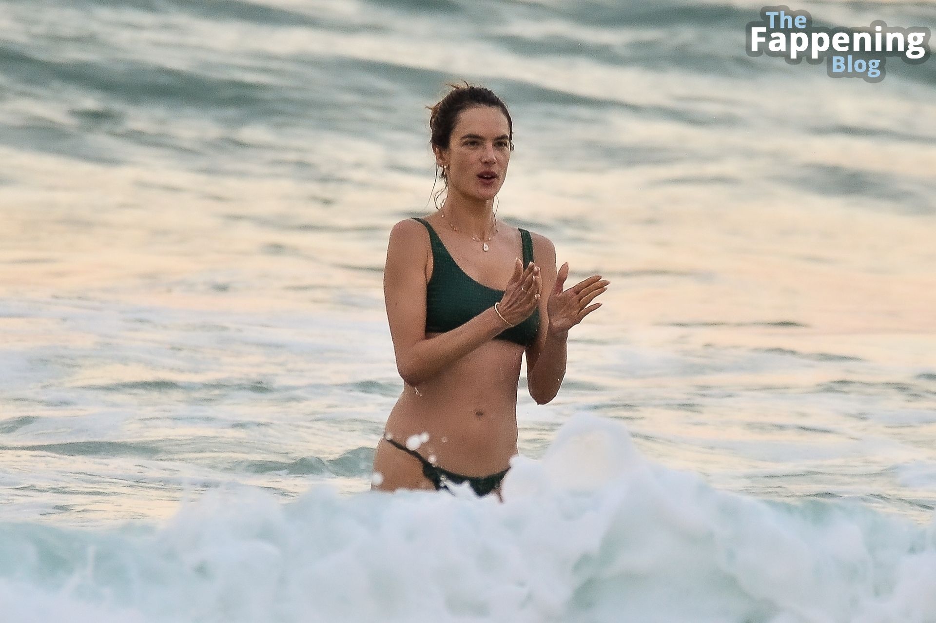 Alessandra Ambrosio Shows Off Her Sculptural Body on a Day at the Beach with Her Family (93 Photos)