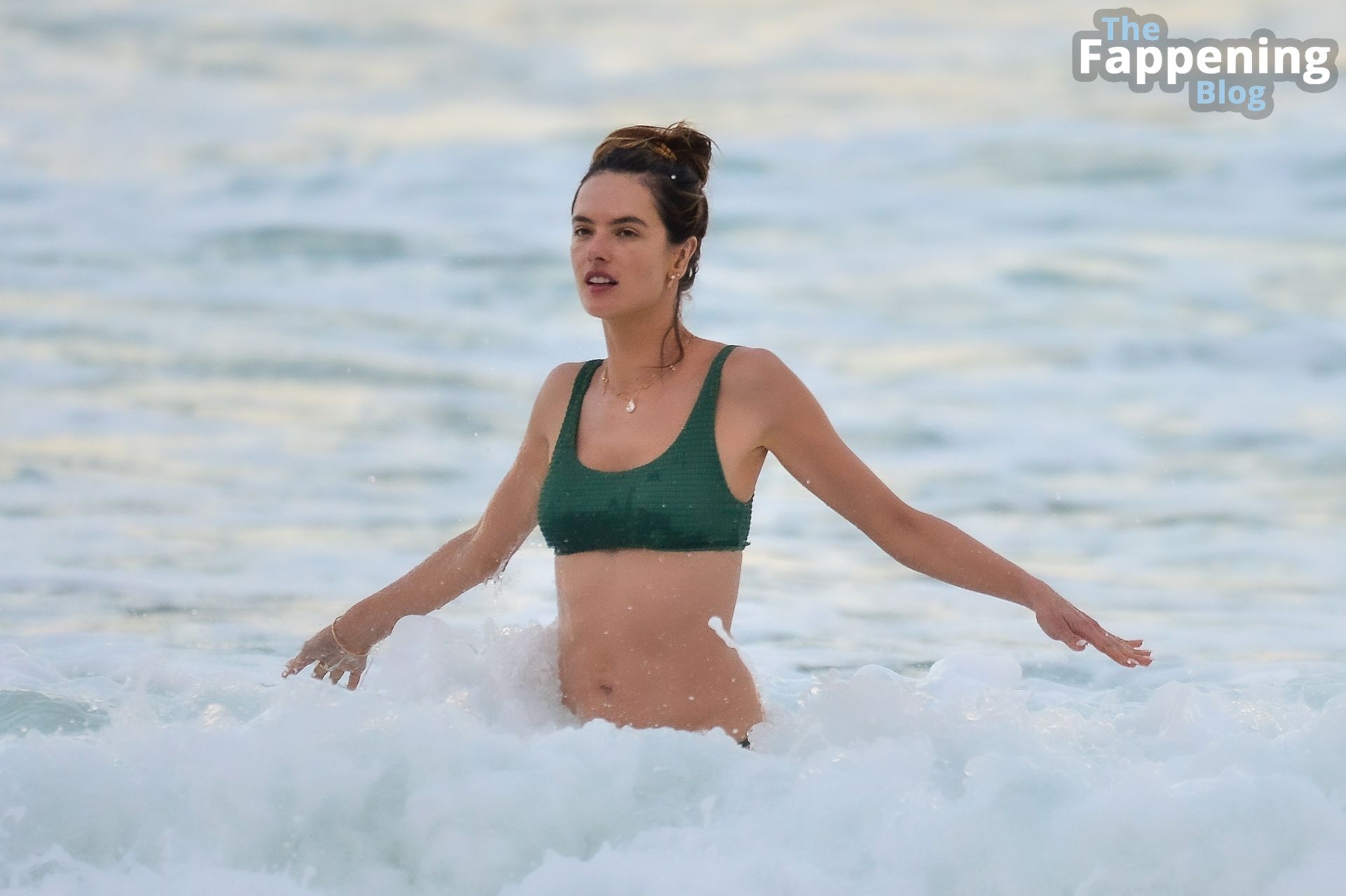 Alessandra Ambrosio Shows Off Her Sculptural Body on a Day at the Beach with Her Family (93 Photos)