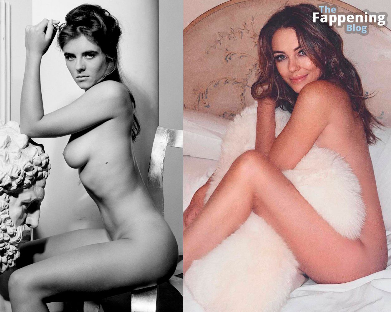 Elizabeth Hurley Nude &amp; Sexy (6 Collage Photos)