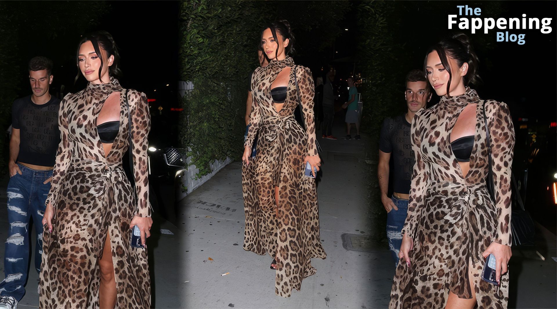 Anastasia-Karanikolaou-Sexy-Leopard-Print-Dress-thefappeningblog.com-2.jpg