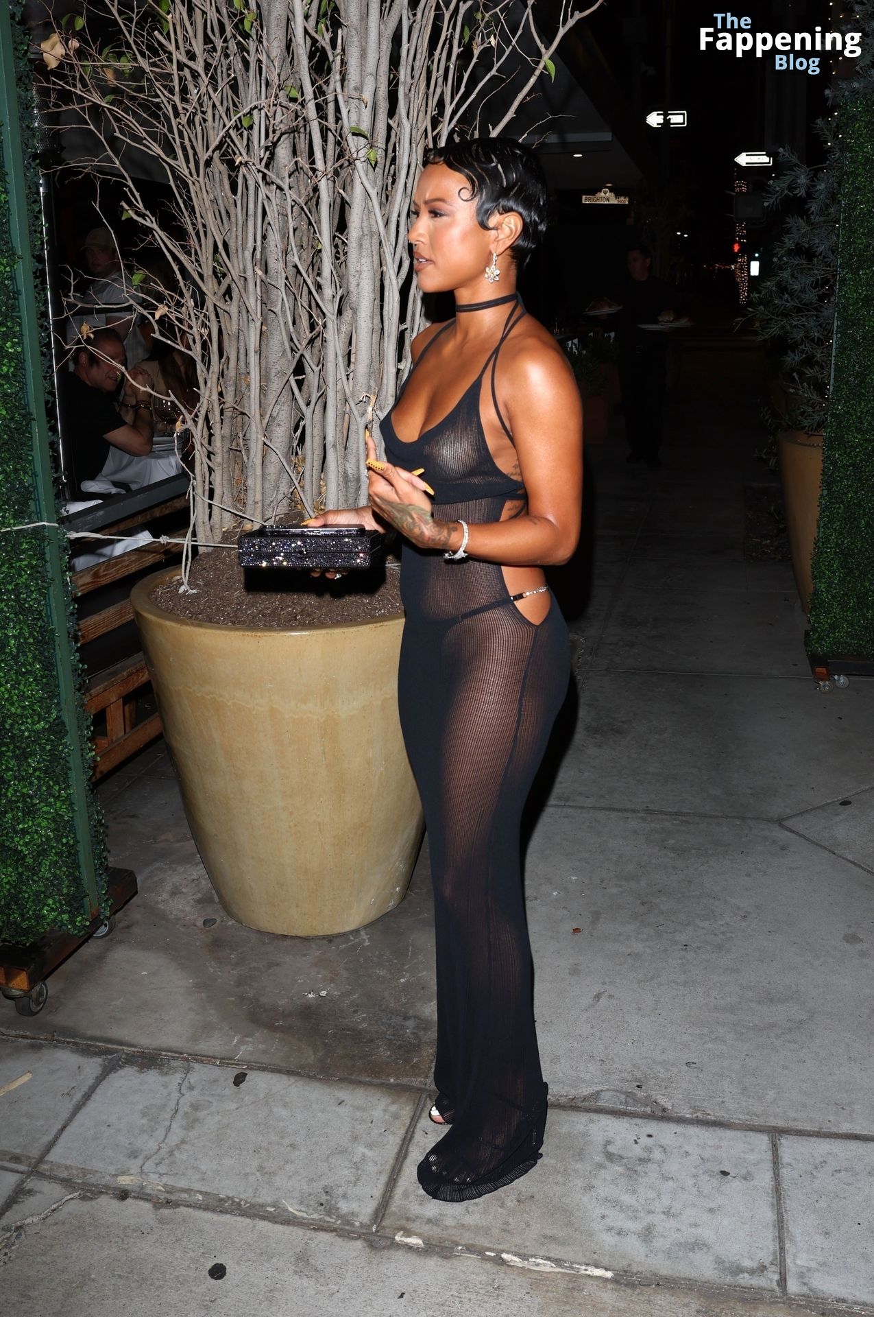 Karrueche Tran Flashes Her Nude Tits as She Celebrates Her 35th Birthday in Beverly Hills (32 Photos + Video)