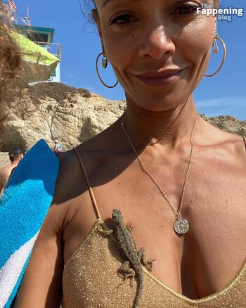 Thandie Newton / dropitlikeitstot / thanddd / thandienewton Nude Leaks OnlyFans Photo 248