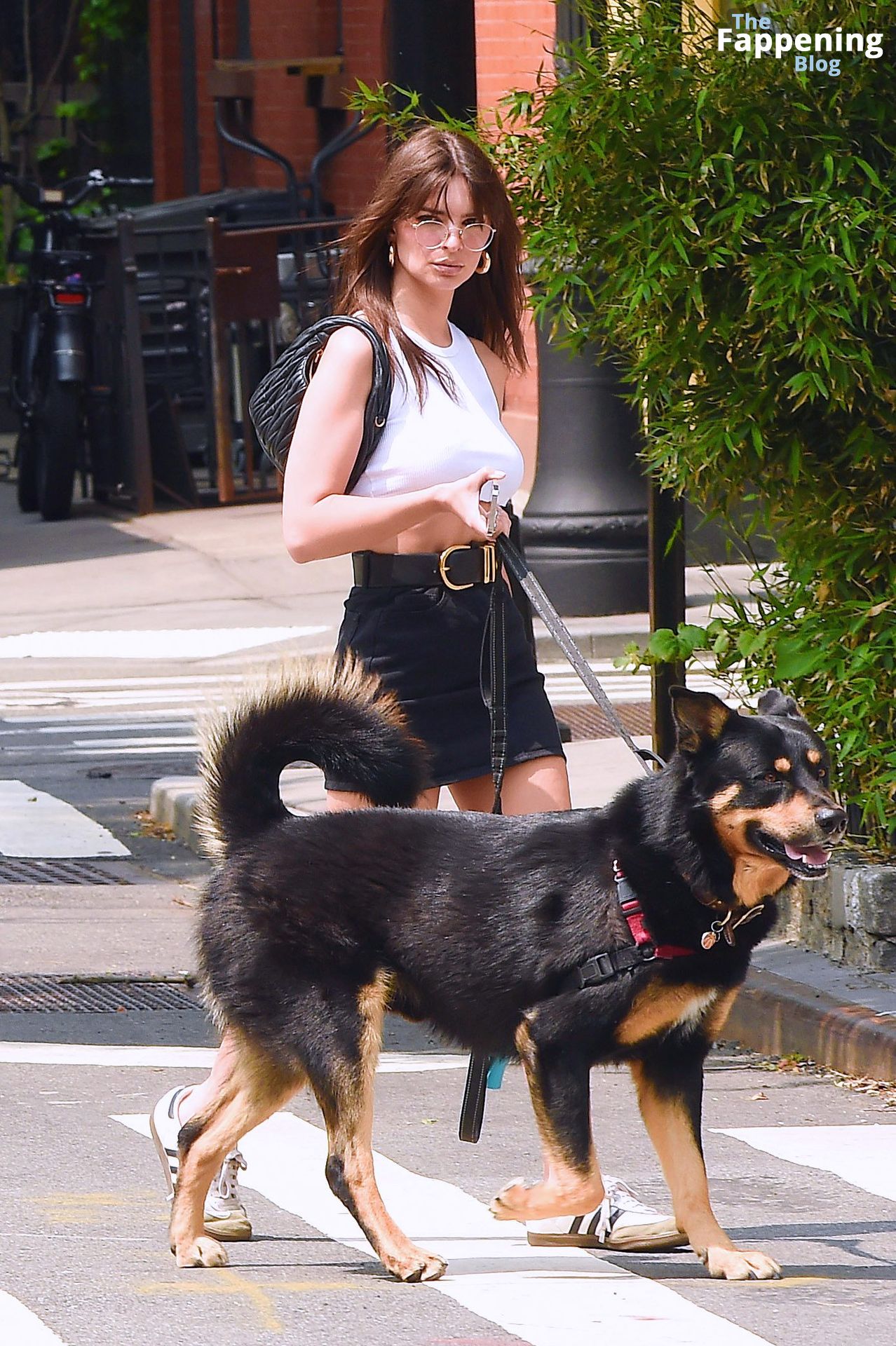 Emily Ratajkowski Looks Hot as She Goes Braless While Walking Her Dog in NY (23 Photos)
