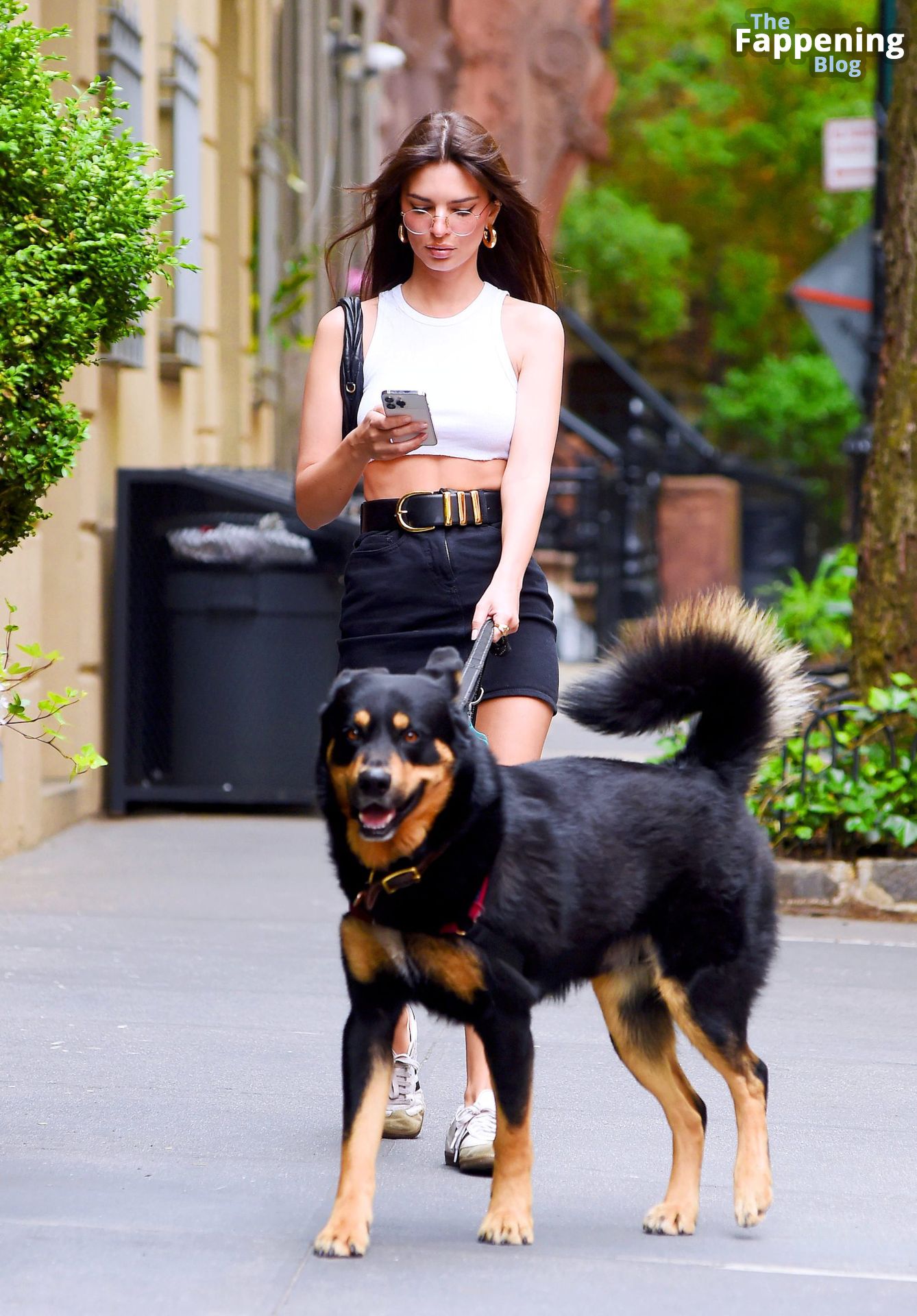 Emily Ratajkowski Looks Hot as She Goes Braless While Walking Her Dog in NY (23 Photos)