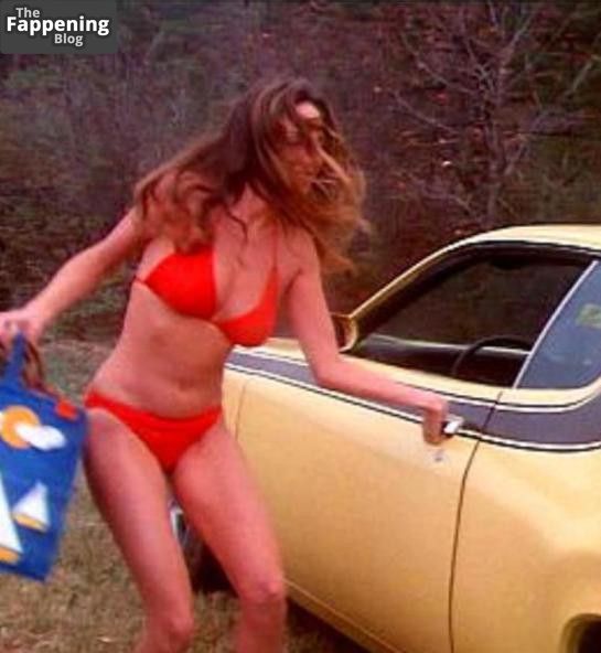 Catherine Bach Nude &amp; Sexy Collection (5 Pics)