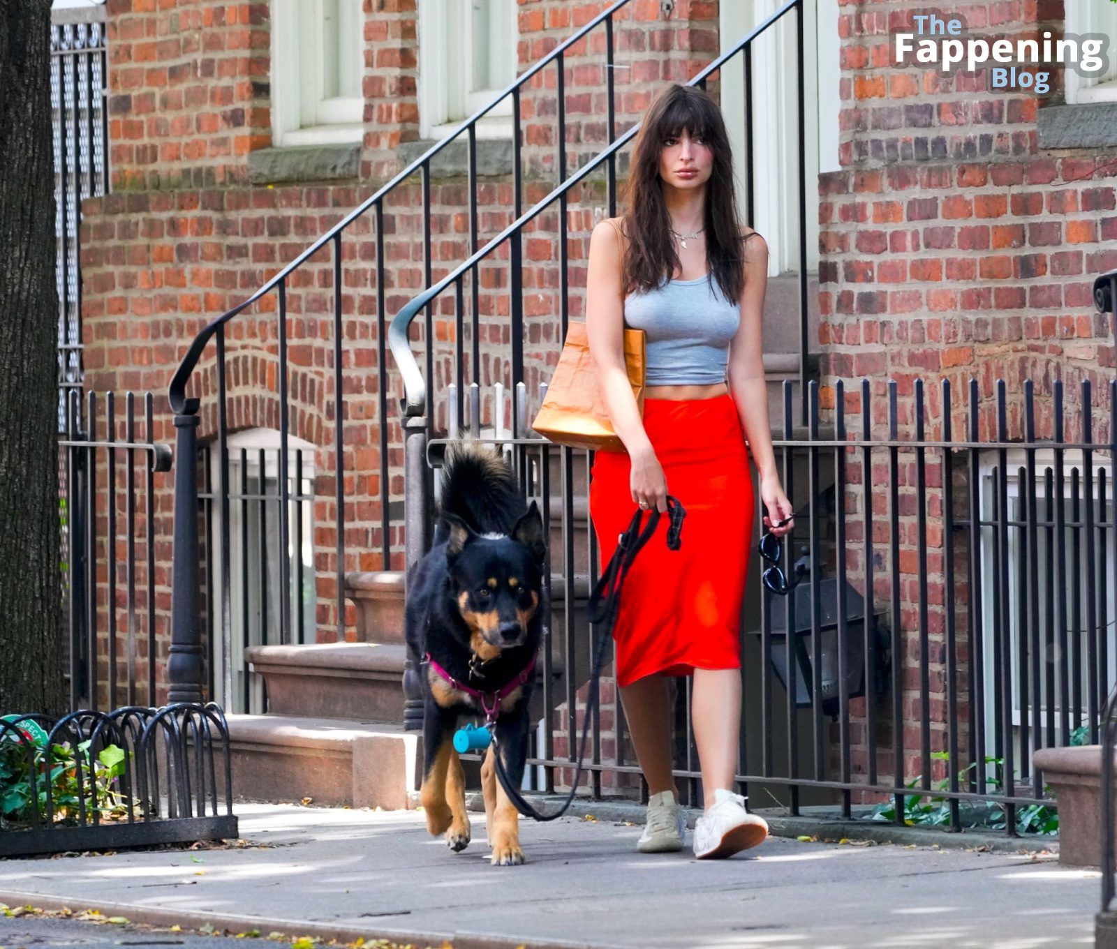 Busty Emily Ratajkowski Walks Her Dog in NY (19 Photos)