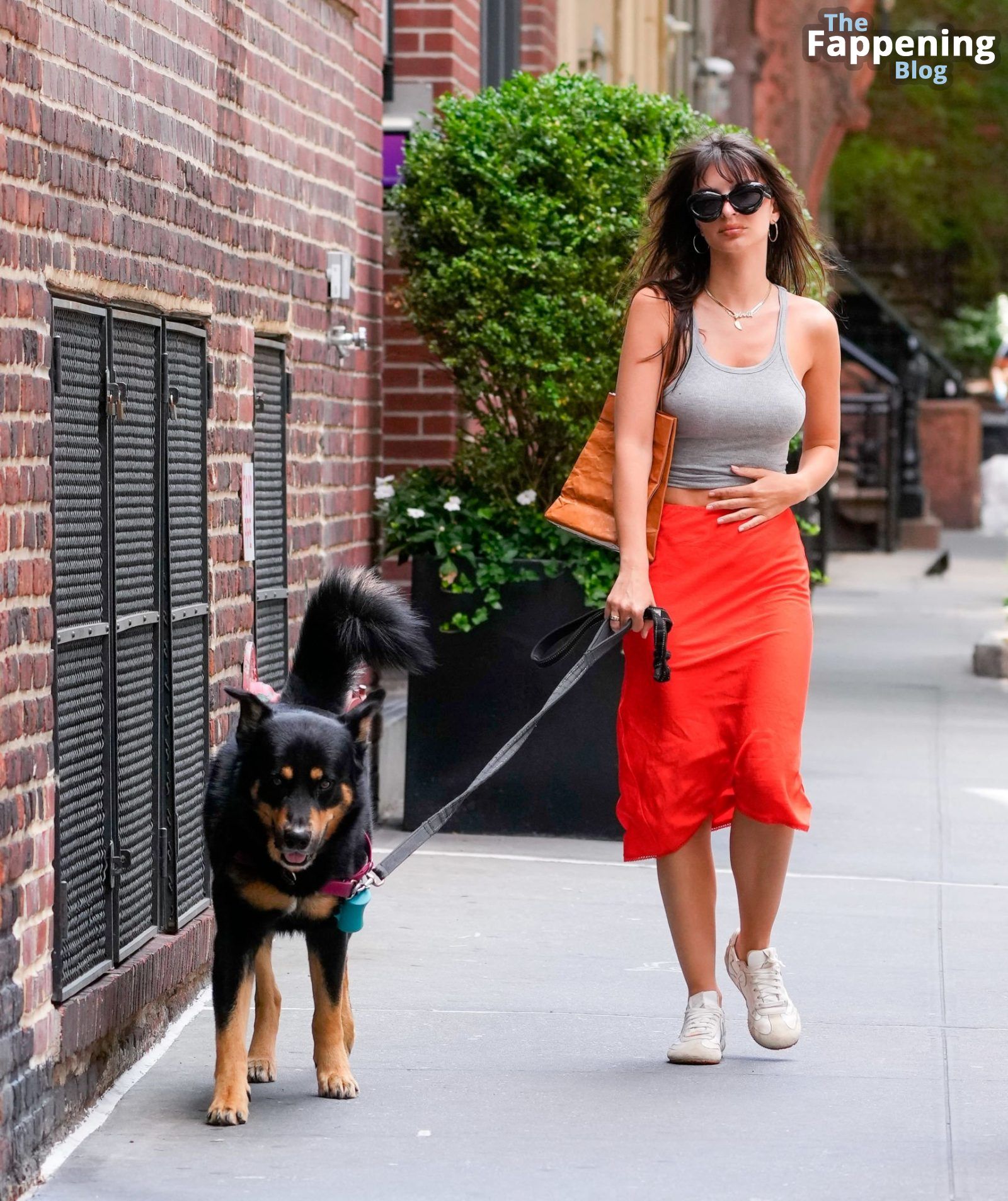 Busty Emily Ratajkowski Walks Her Dog in NY (19 Photos)