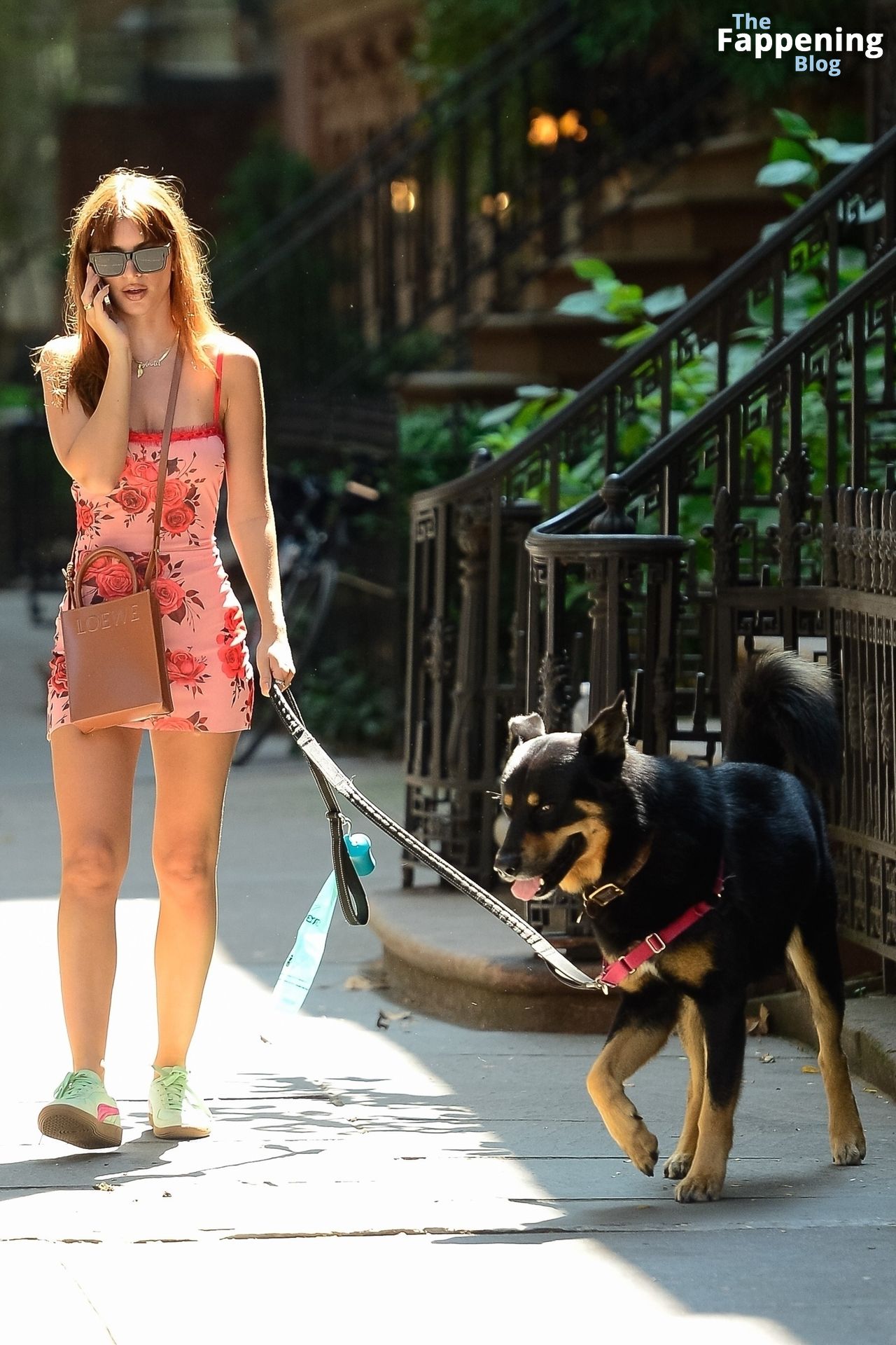 Emily Ratajkowski Displays Her Sexy Legs while Taking Colombo Out for a Stroll in NYC (66 Photos)