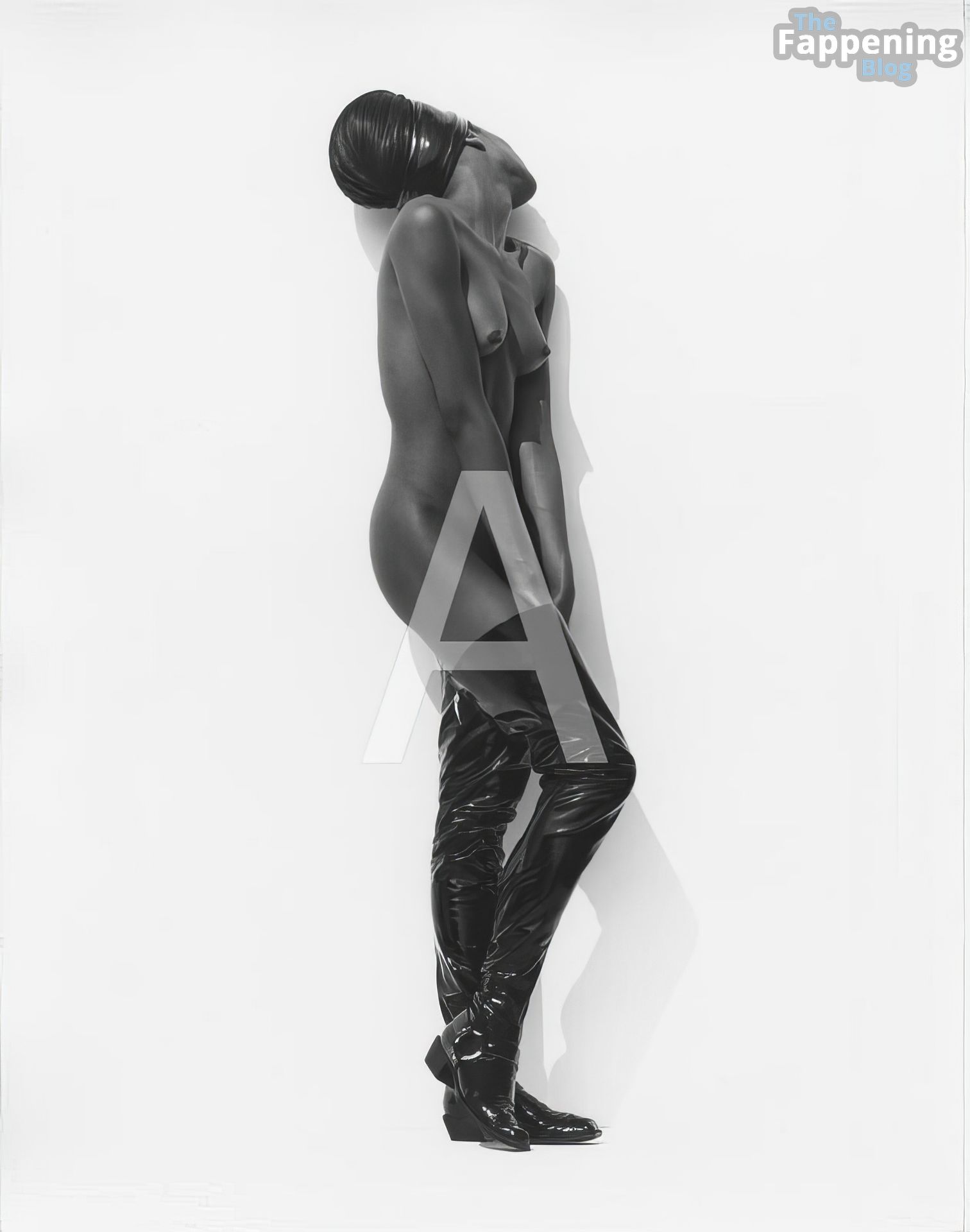 Naomi Campbell Nude &amp; Sexy (118 Photos)