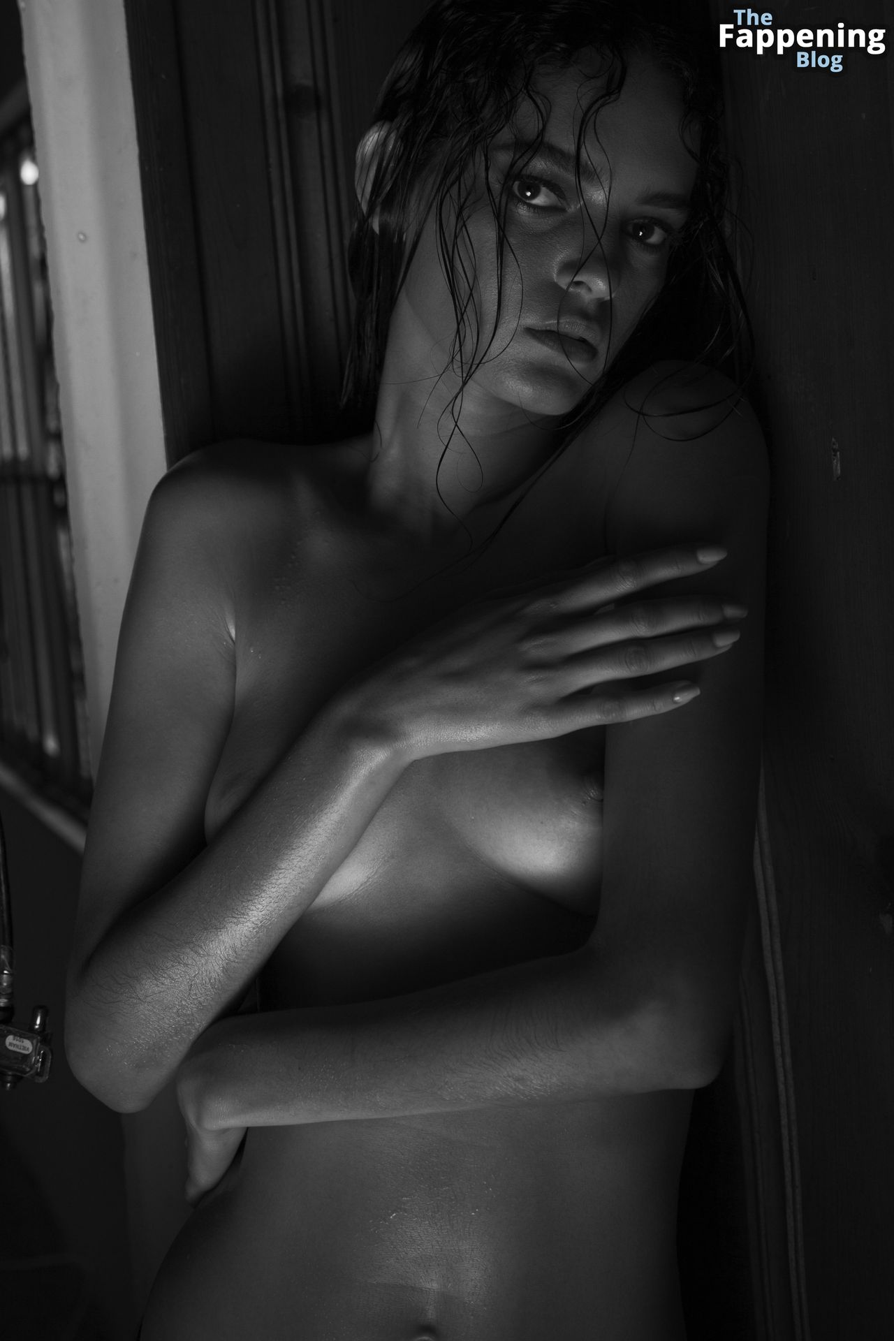 Wanessa Milhomem Nude &amp; Sexy Collection (59 Photos)