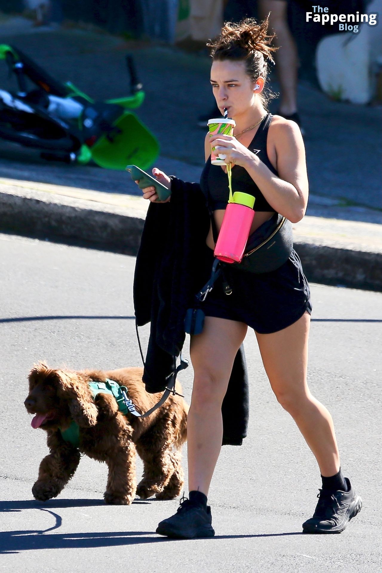 Abbie Chatfield is Seen Walking Her Dog at Bondi Beach (16 Photos)