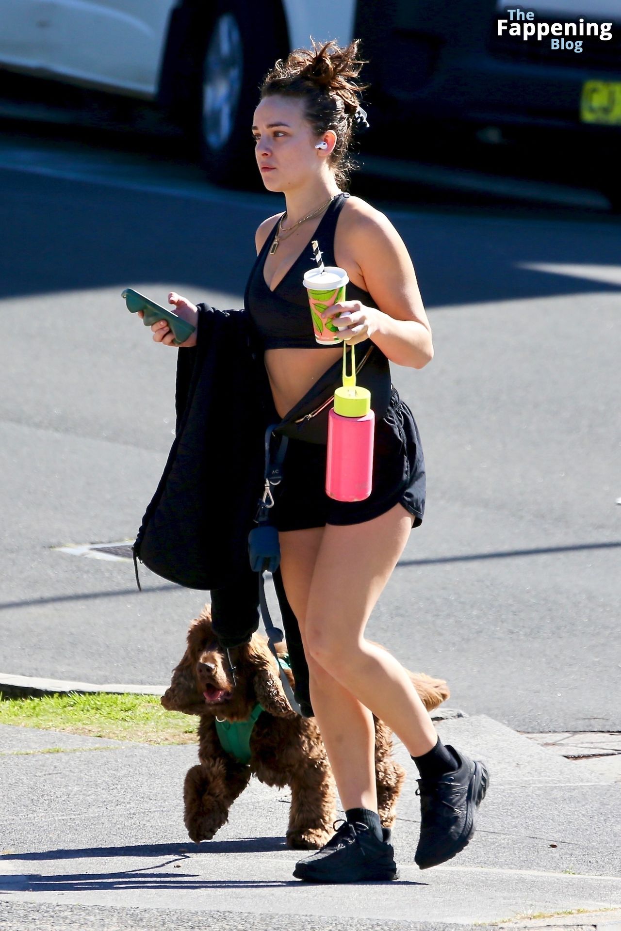 Abbie Chatfield is Seen Walking Her Dog at Bondi Beach (16 Photos)