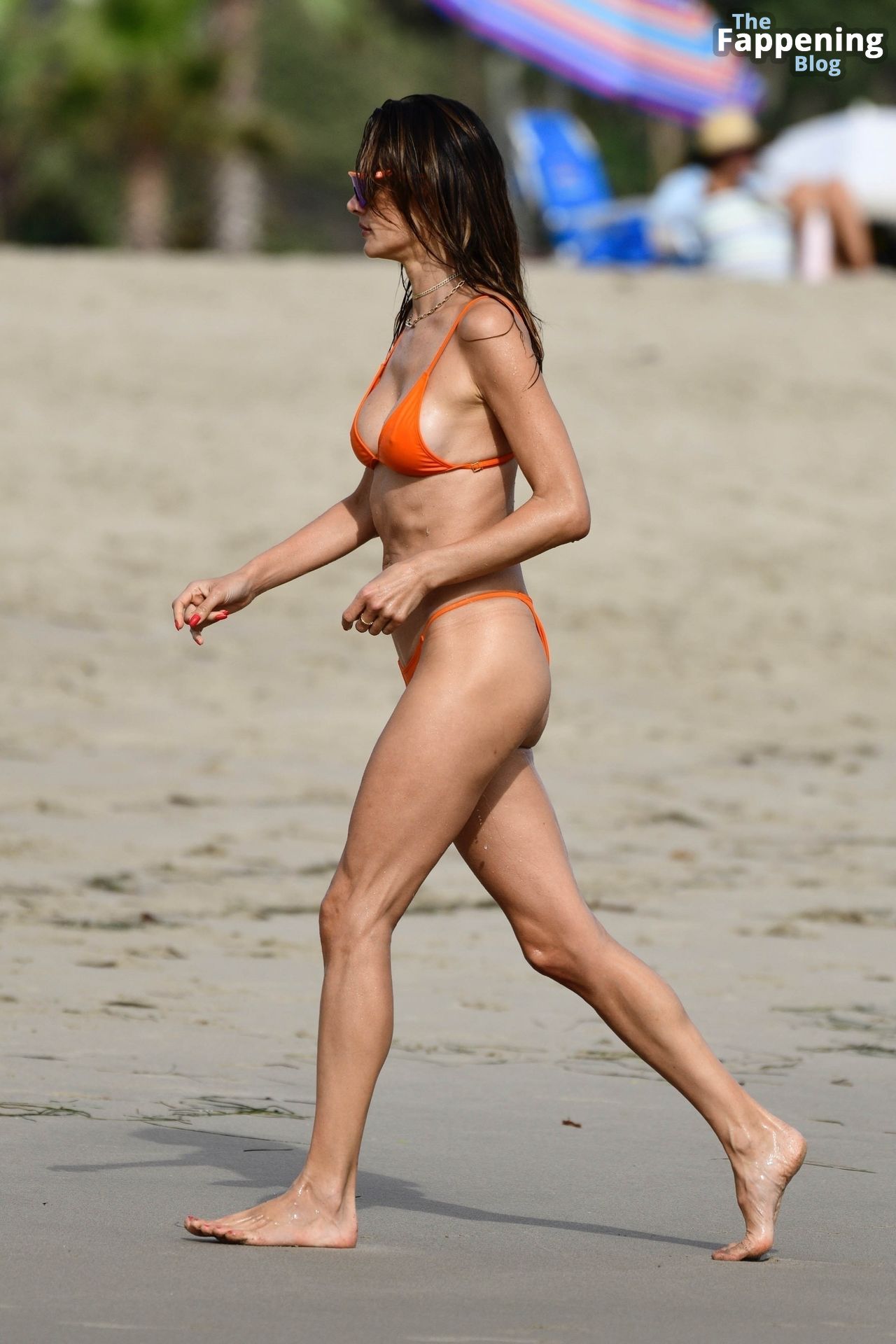 Alessandra Ambrosio Shows Off Her Sexy Bikini Body and Flashes Areola on the Beach in Santa Monica (150 Photos)