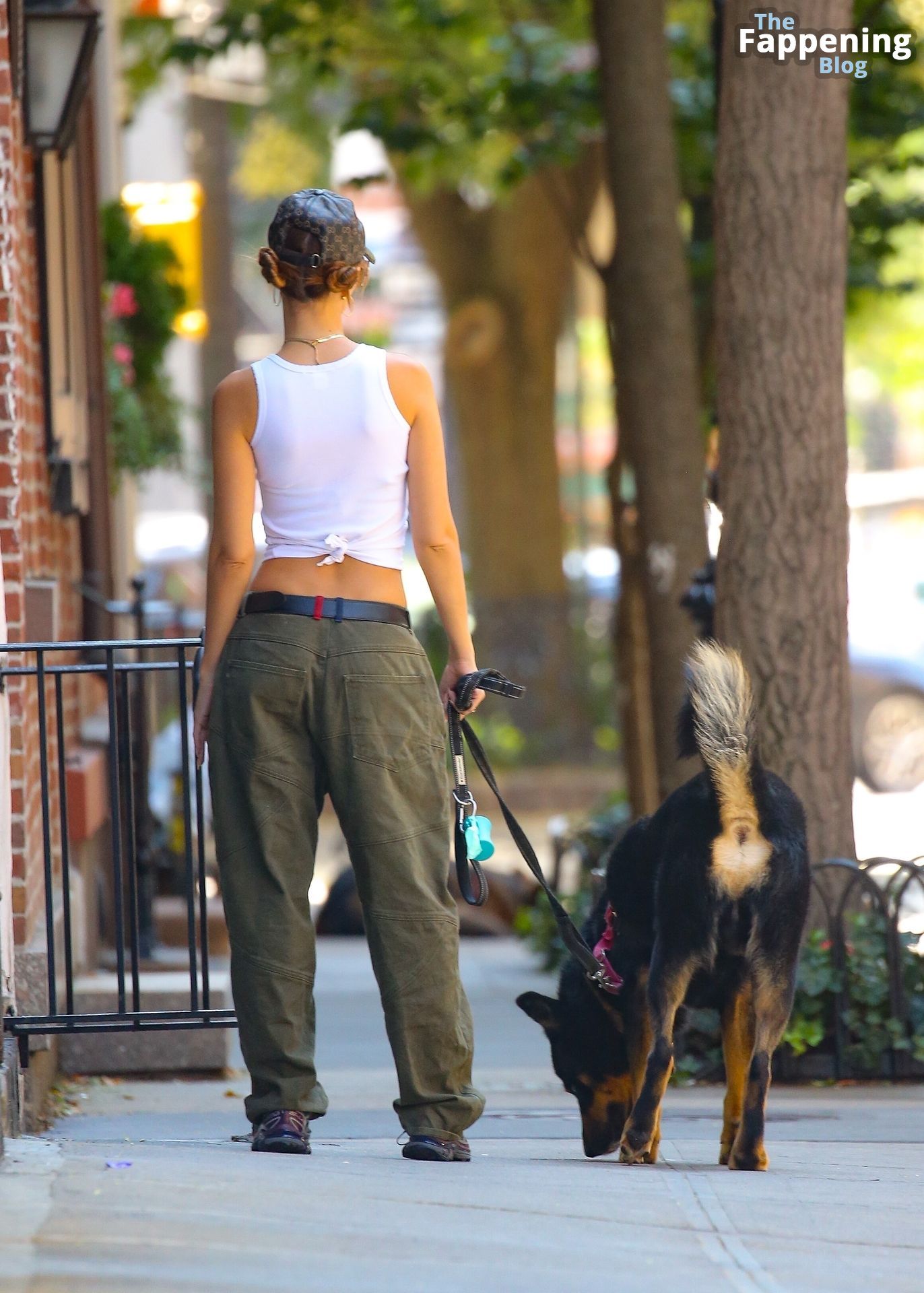 Emily Ratajkowski is Seen Taking a Morning Stroll with Colombo in New York (35 Photos)