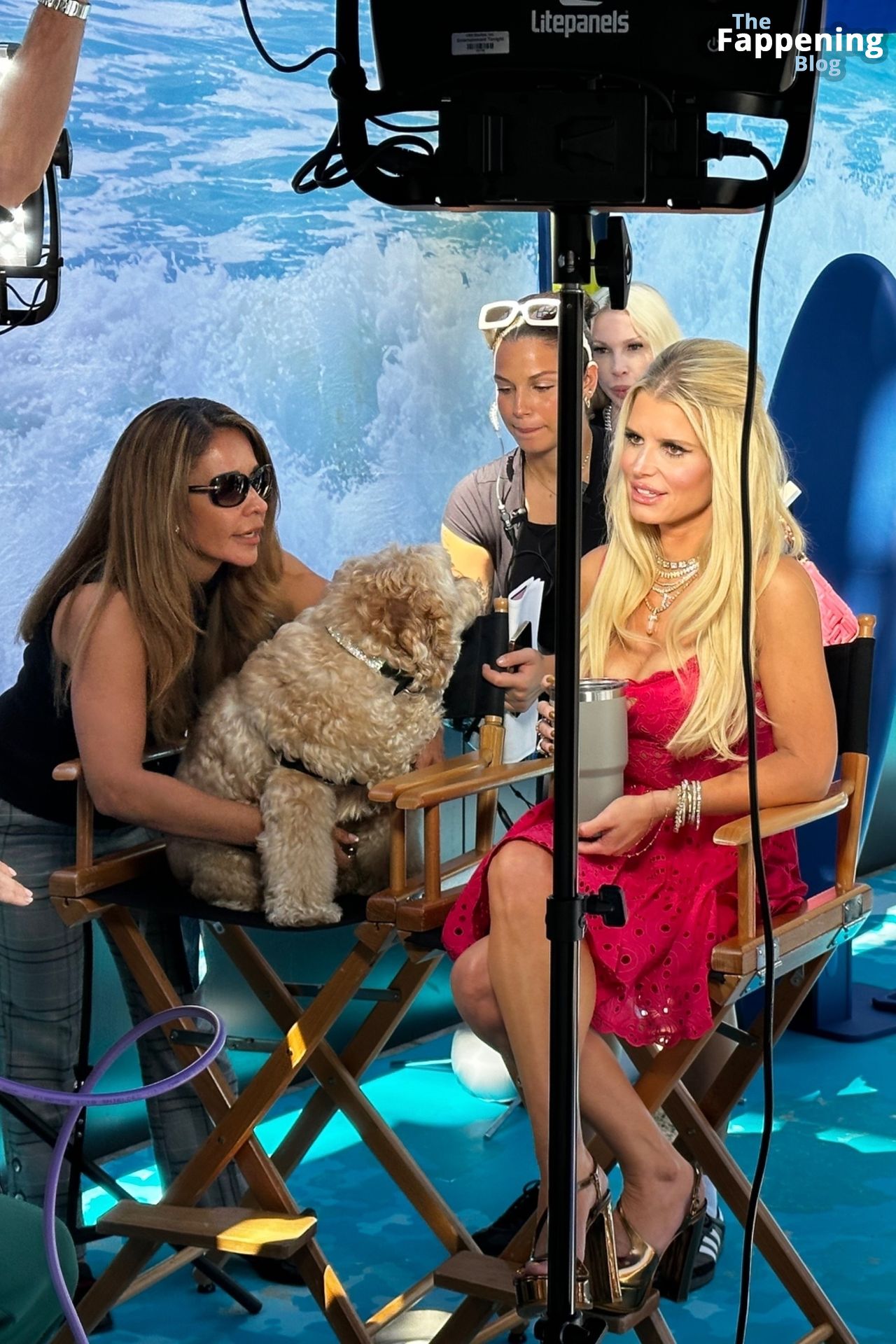 Jessica Simpson Steals the Scene in a Colorful Dress at a Petsafe Event (48 Photos)