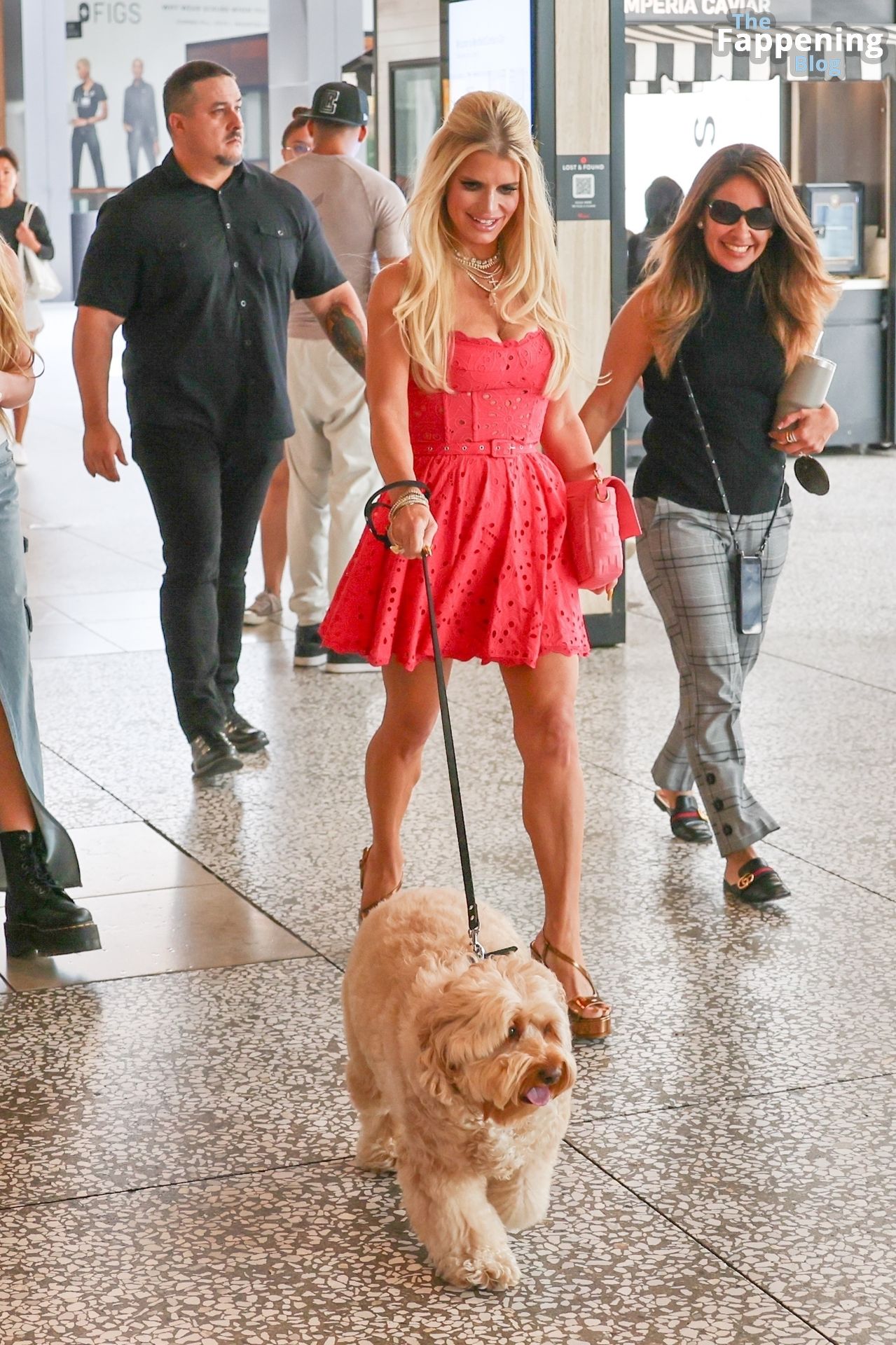 Jessica Simpson Steals the Scene in a Colorful Dress at a Petsafe Event (48 Photos)