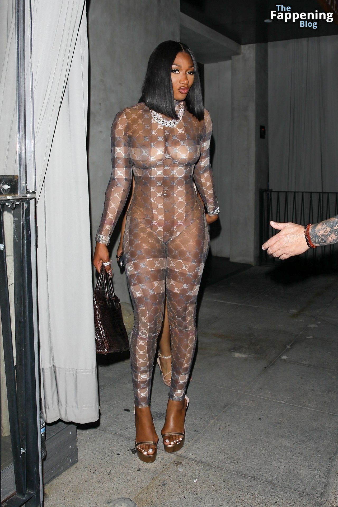 Megan Thee Stallion Shows Off Her Curves and Turns Heads While Out For Dinner in Beverly Hills (32 Photos)