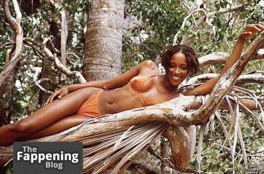 Naomi Campbell / naomi / naomicampbell / poosycatbaby Nude Leaks OnlyFans Photo 993