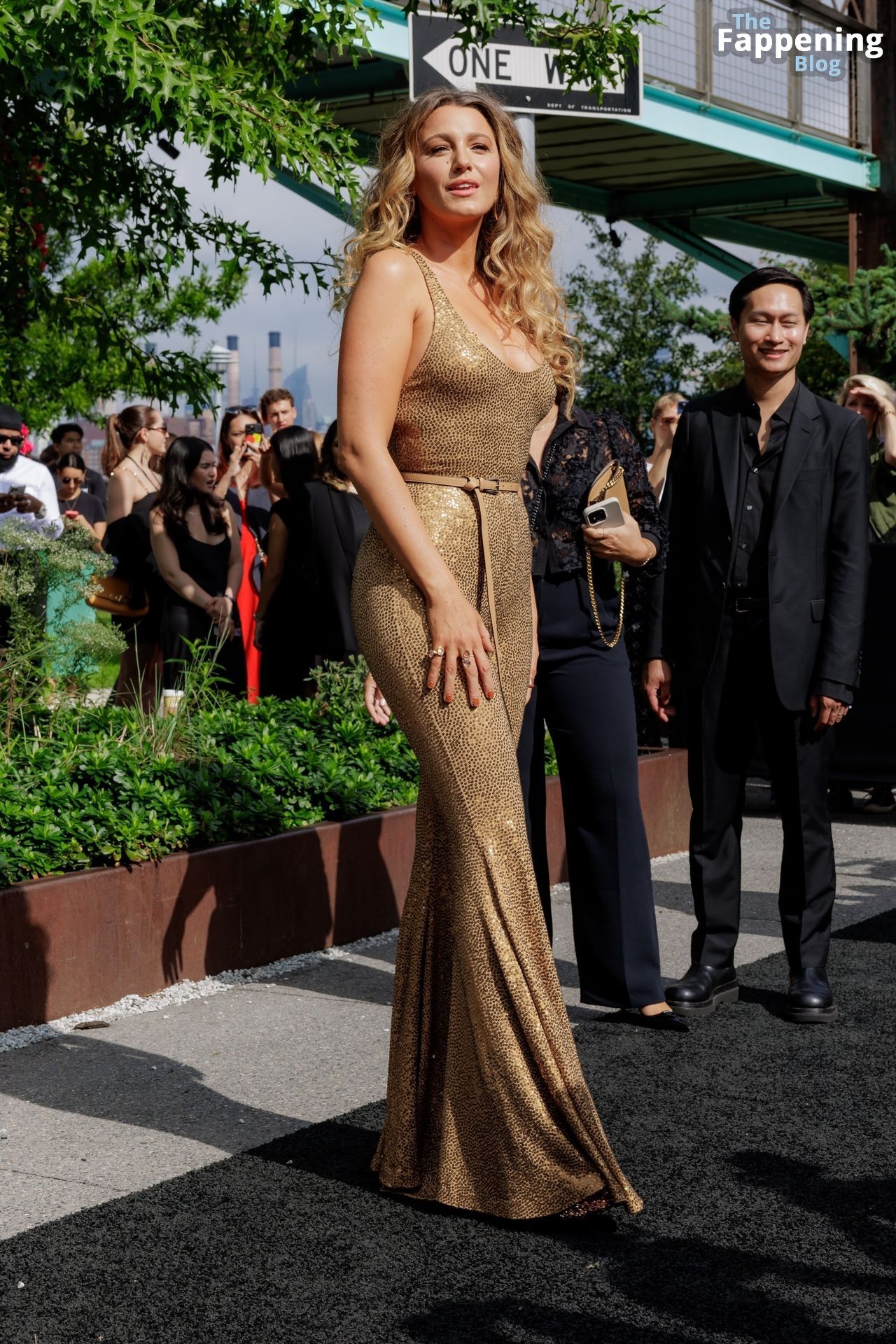 Busty Blake Lively Attends a Michael Kors Fashion Show (135 Photos)