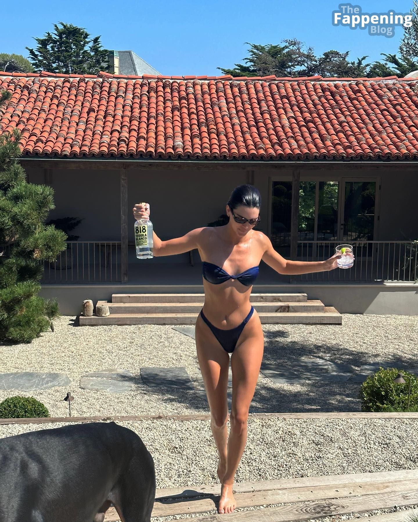 Kendall Jenner Sexy Bikini 1