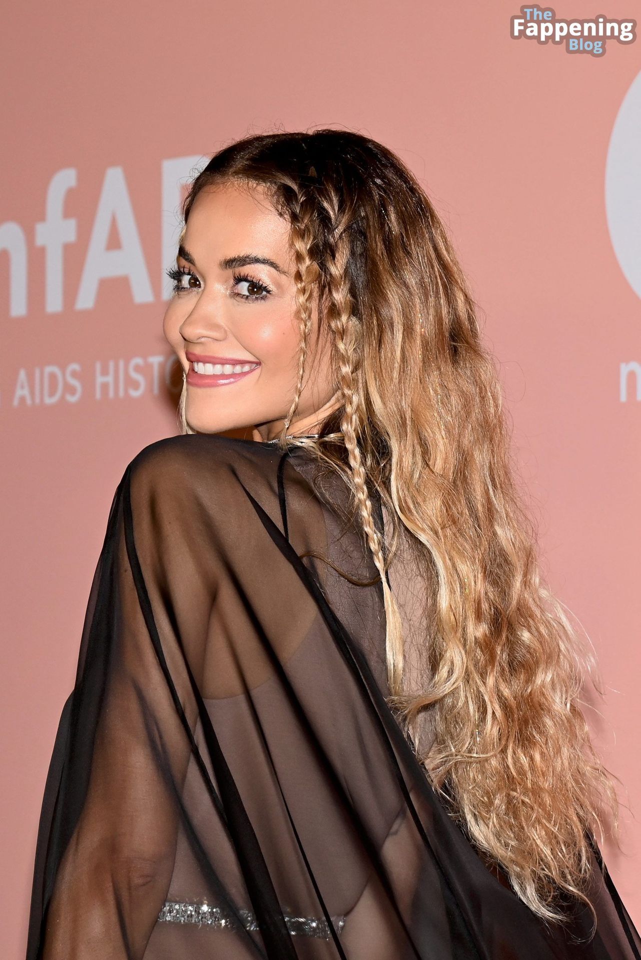 Rita Ora Looks Hot in a See-Through Outfit at the amfAR Gala Venezia (25 Photos)