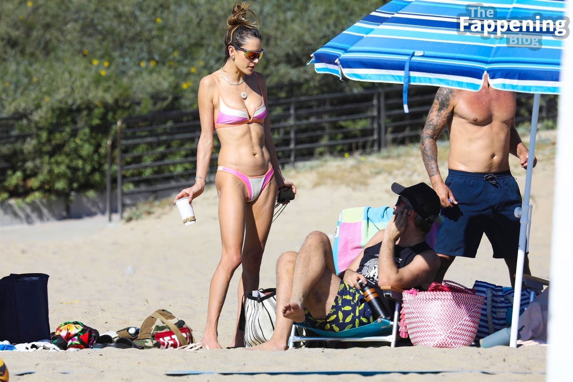Alessandra Ambrosio Sizzles in a Pink Bikini at Santa Monica Beach (150 Photos)
