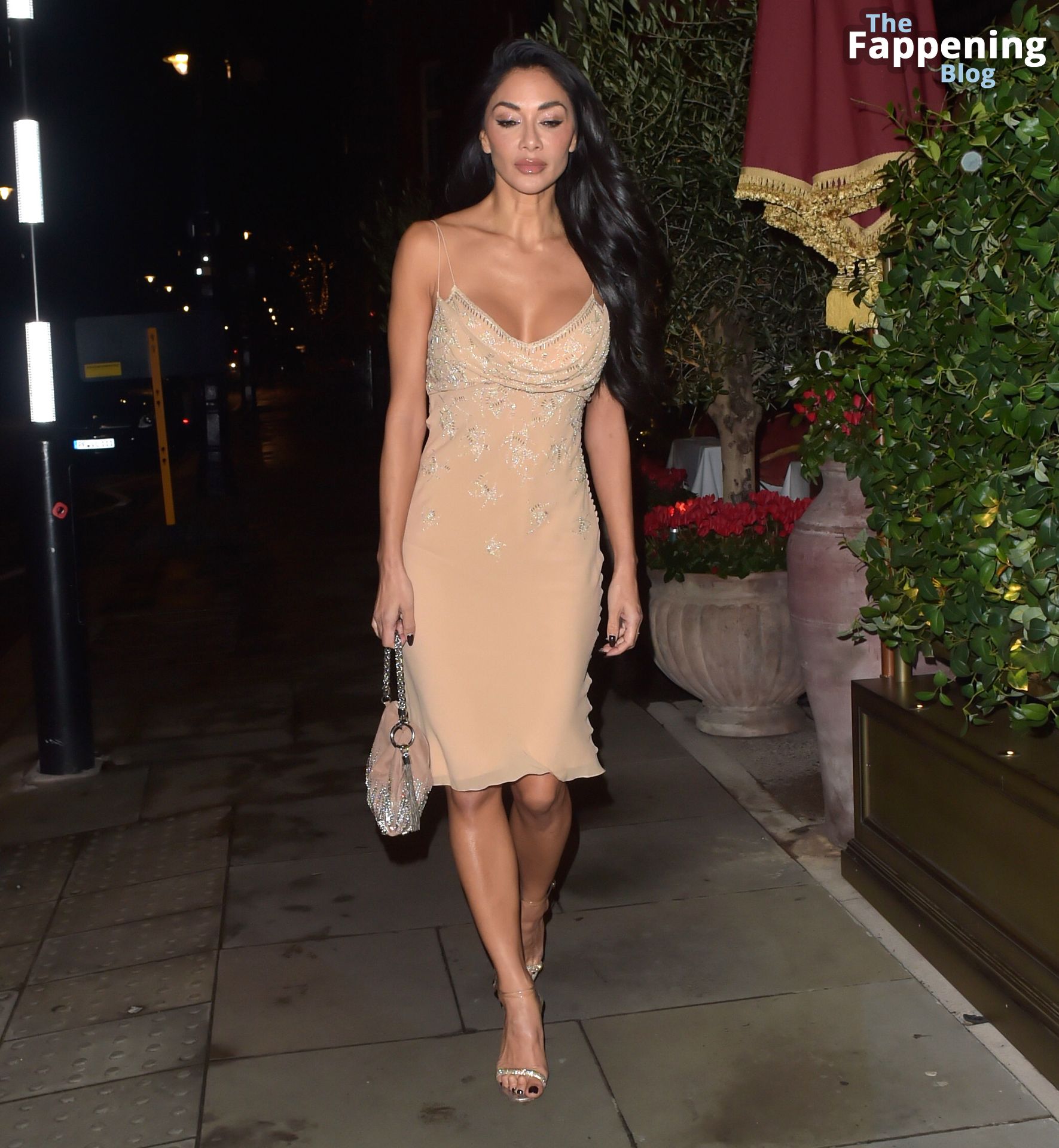 Nicole Scherzinger Looks Glam As She Steps Out For Dinner in London (25 Photos)