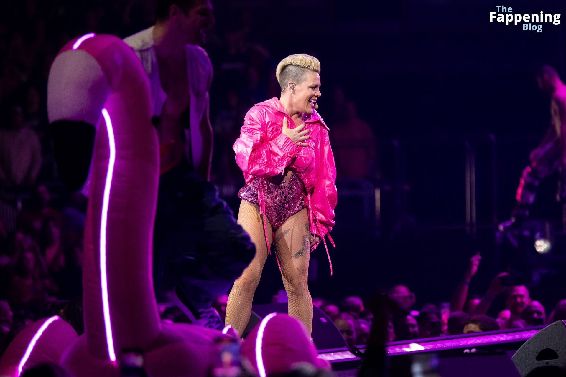 Pink Flaunts Her Assets on Stage at Gainbridge Fieldhouse (19 Photos)