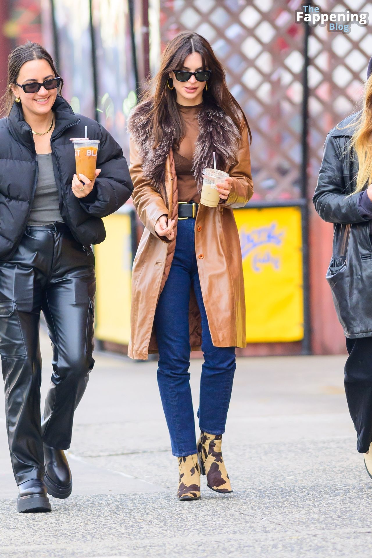 Emily Ratajkowski is Pictured on a Stroll in NYC (60 Photos)