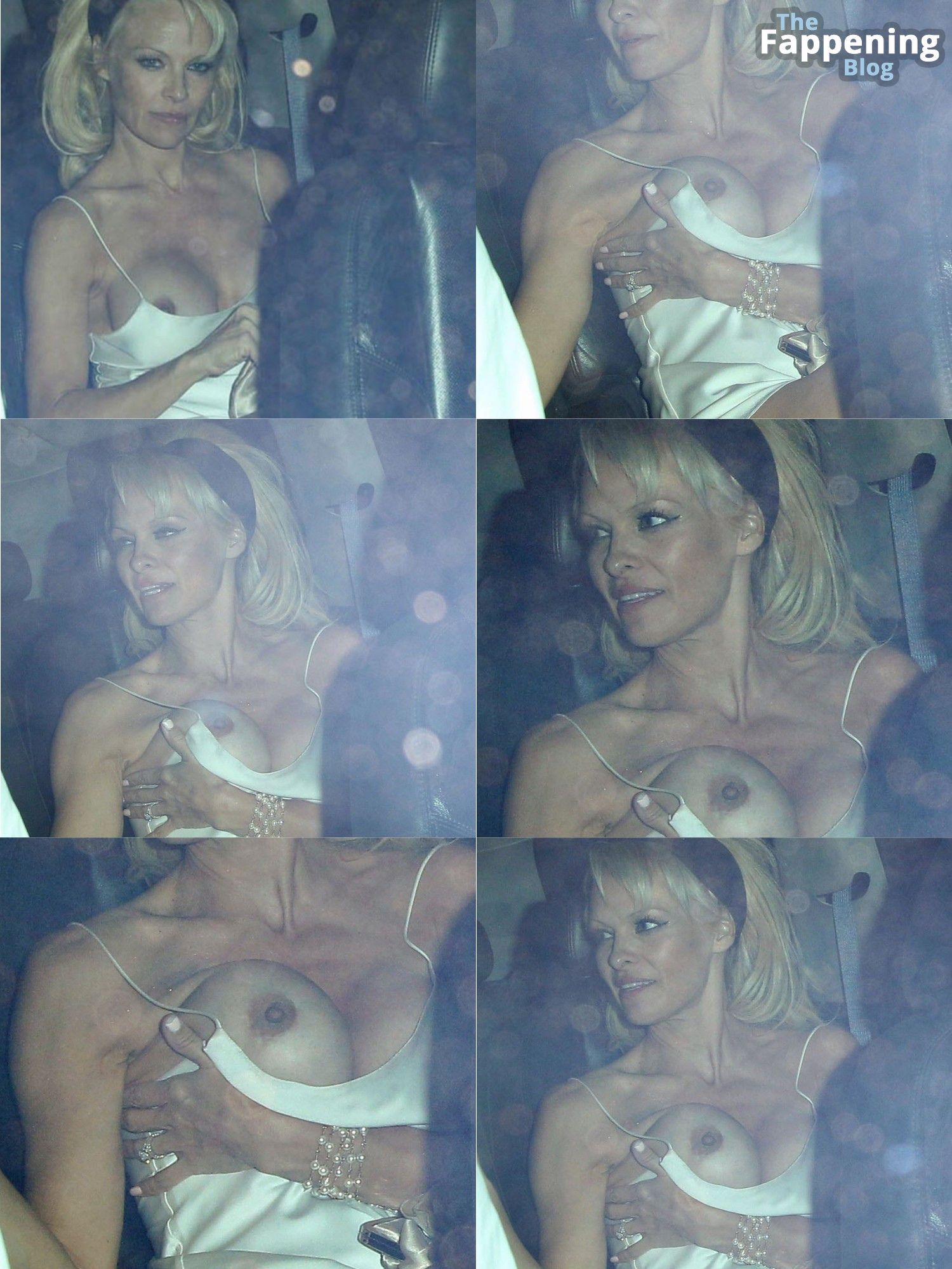 Pamela Anderson Nude 1