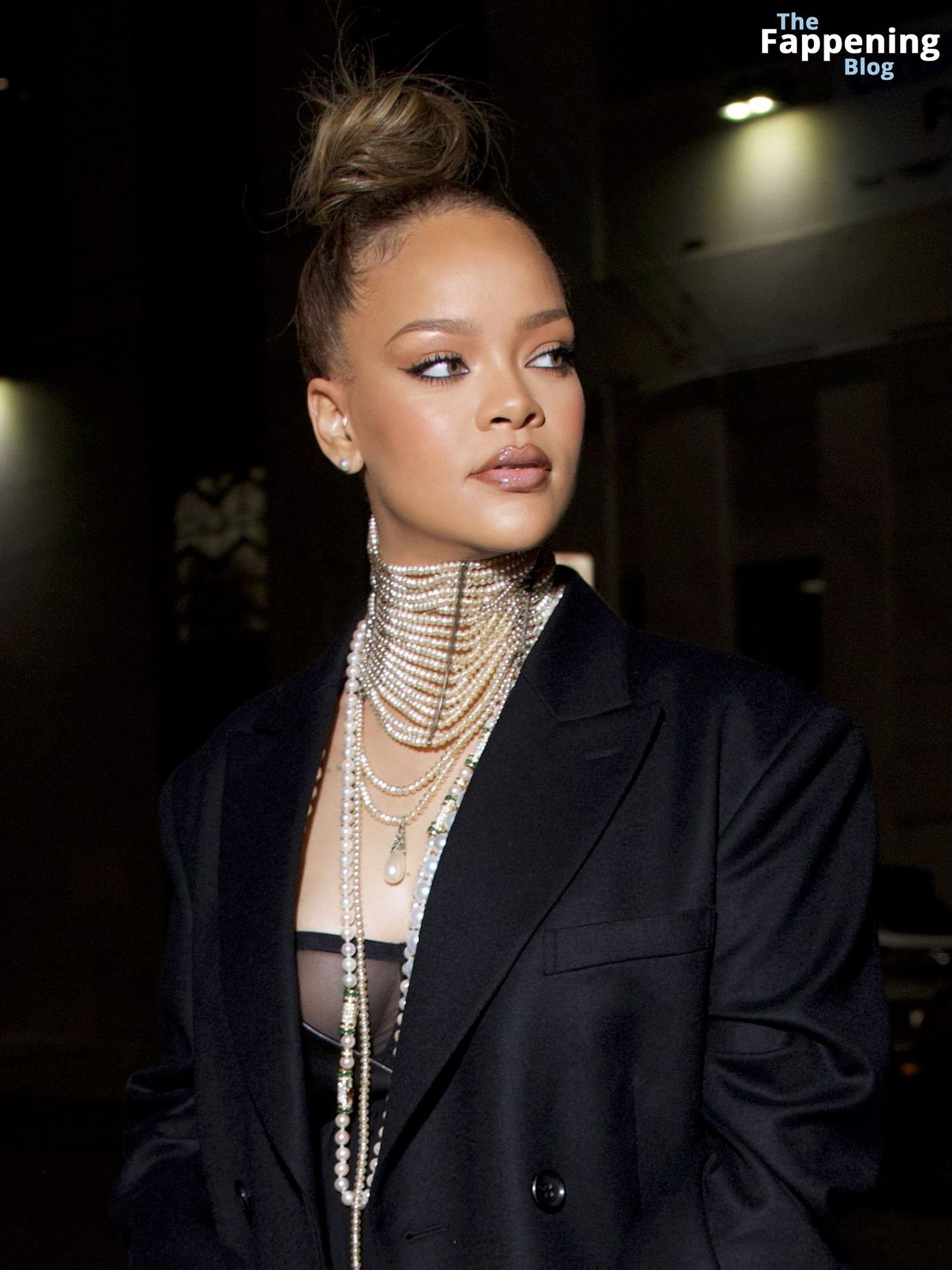 Provocative-Beauty-Rihanna-Boob-and-Sheer-Bra-17-thefappeningblog.com_.jpg